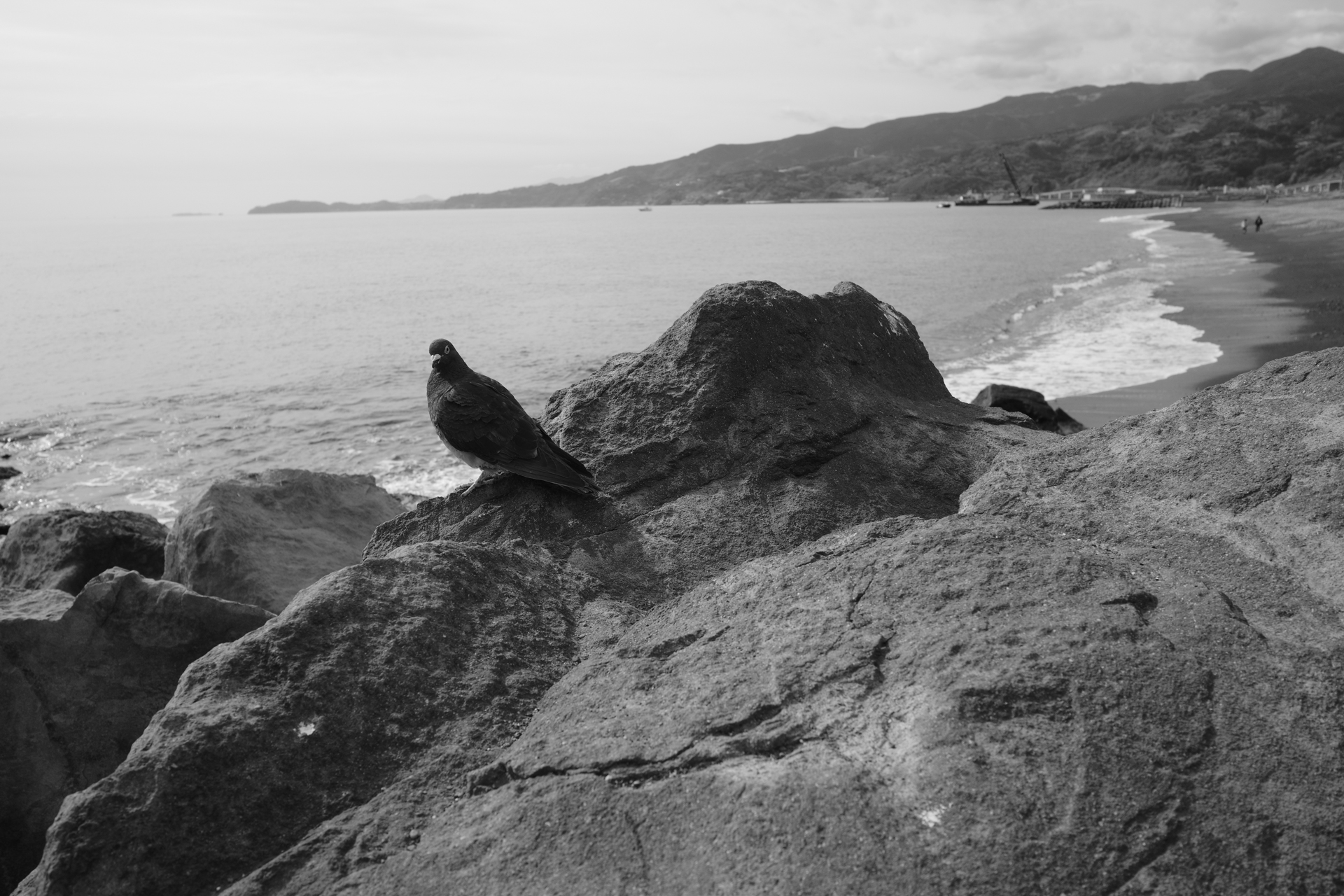 RICOH GR IV Monochrome／18.3mm／マニュアル露出（F4.5、1/320秒、+0.3EV）／ISO 320／イメージコントロール：ソリッド