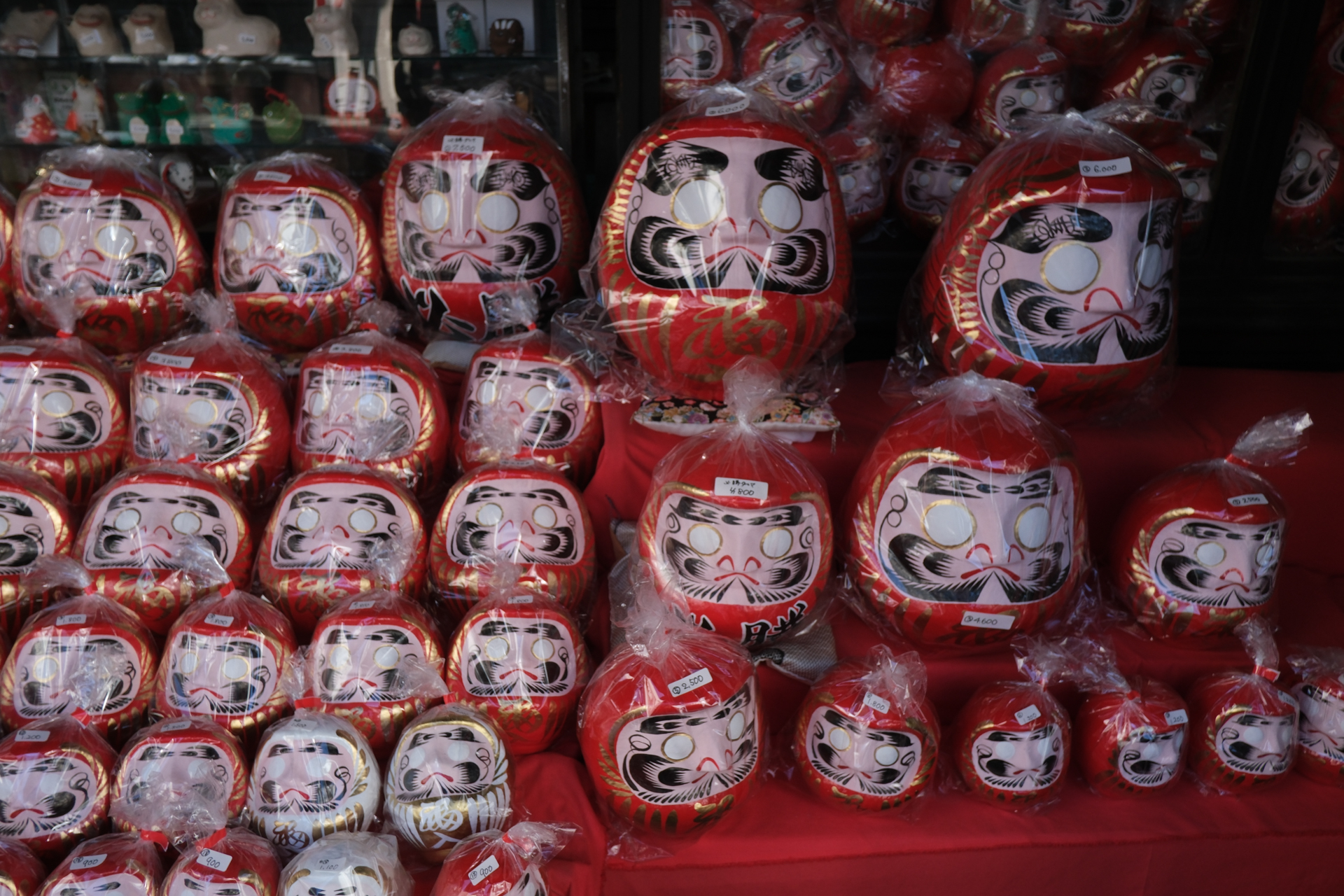 自然光と室内光のミックス状態ですが、意外と収まりのいい色合いであります。<br><span class="fnt-85">富士フイルム X-T30 III／XF18mmF2 R／18mm（27mm相当）／プログラムAE（1/300秒、F5.0、−0.7EV）／ISO 400／フィルムシミュレーション: PROVIA</span>