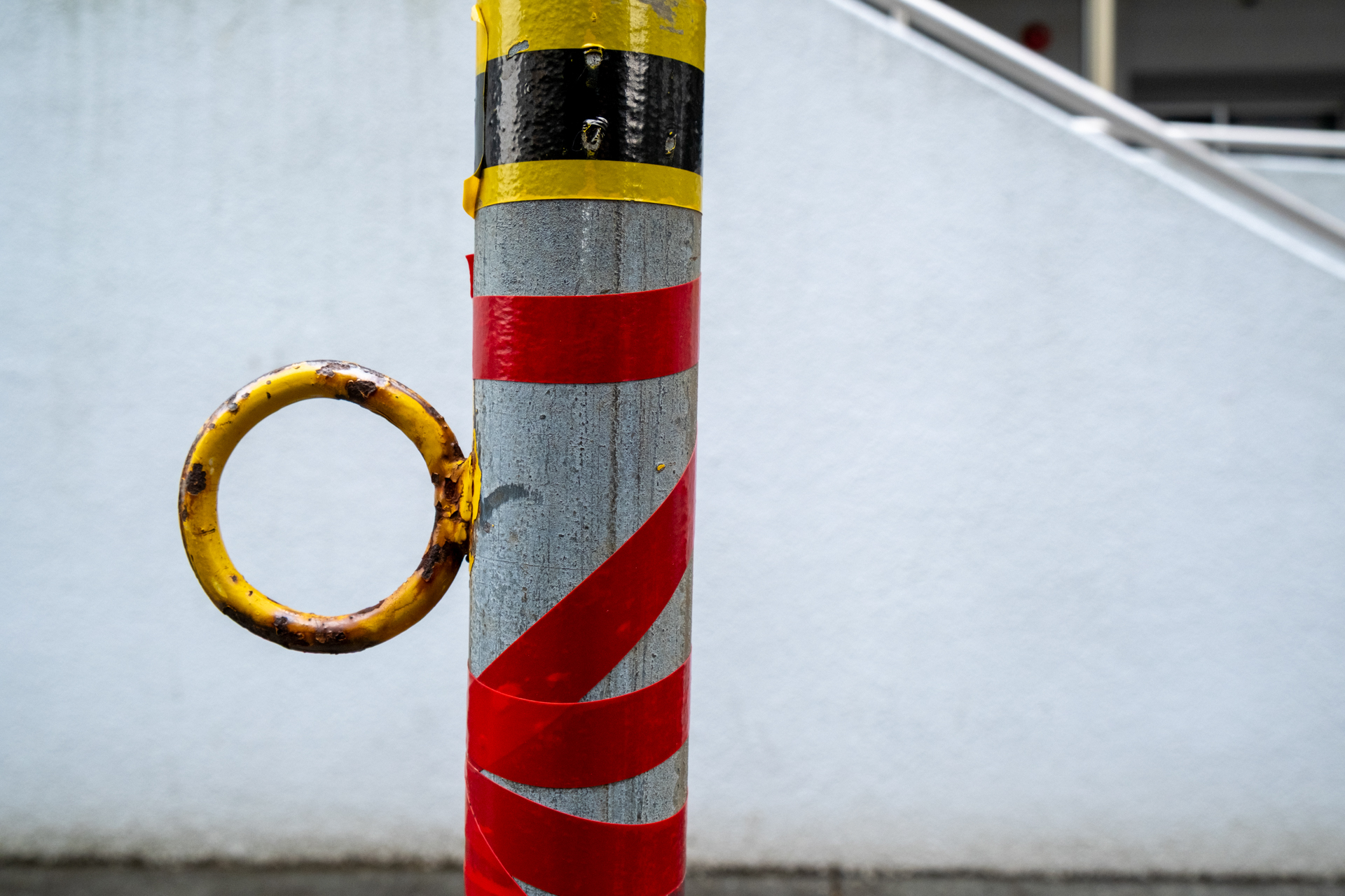 湿度感のある描写ですね。最至近距離で撮影しています。曇天ですが、色再現も優秀です。<br><span class="fnt-85">富士フイルム X-T30 III／XF18-55mmF2.8-4 R LM OIS／23.3mm（35mm相当）／プログラムAE（1/240秒、F8.0、−0.7EV）／ISO 400／フィルムシミュレーション: PROVIA</span>