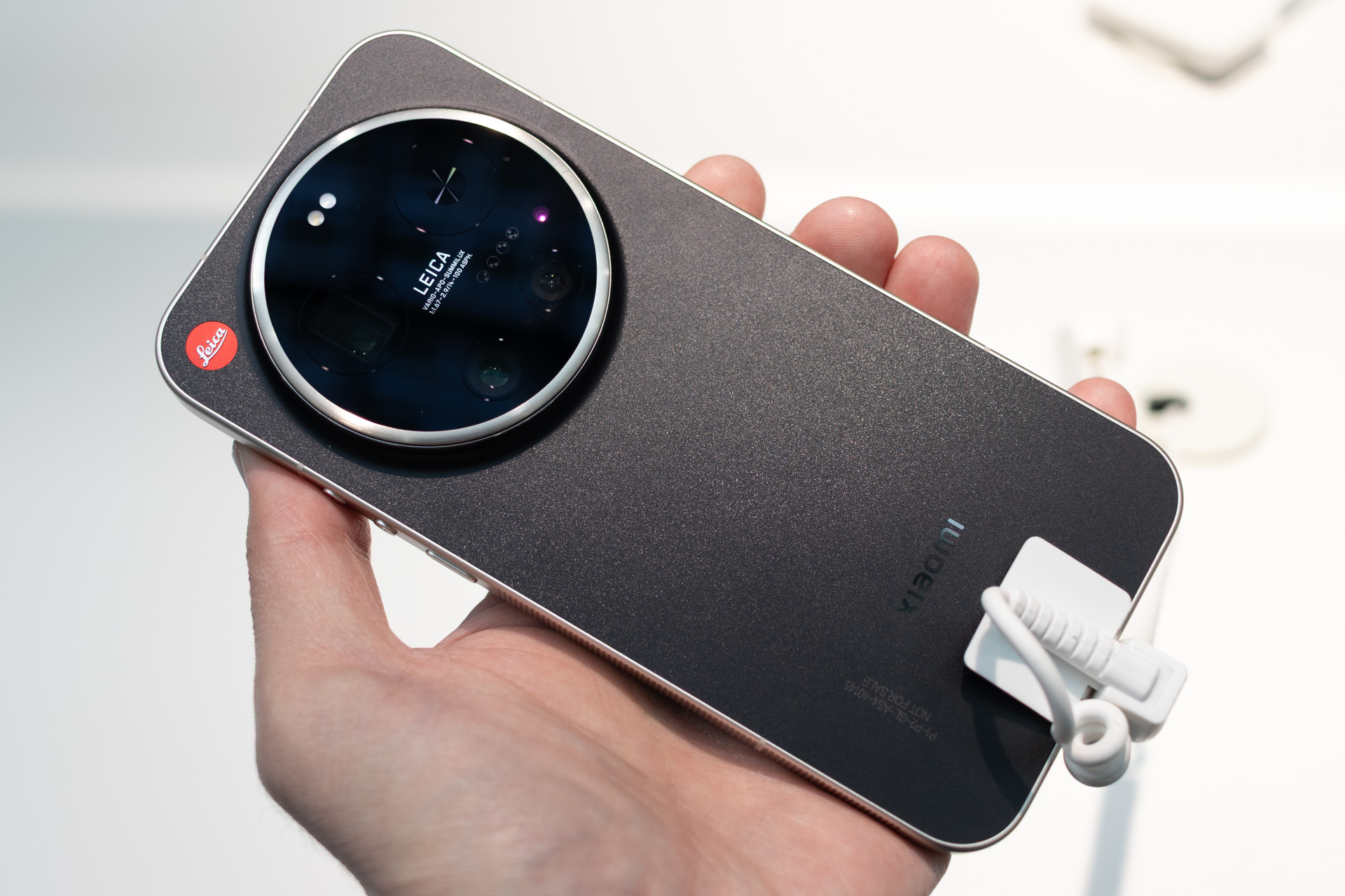 カラーはこの色のみ