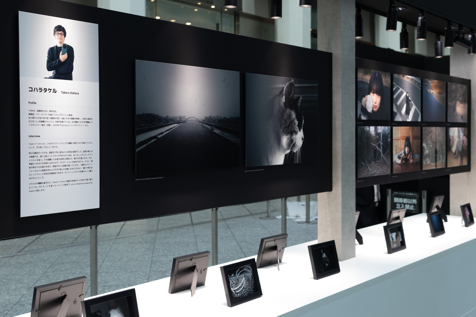 コハラタケルさんの展示