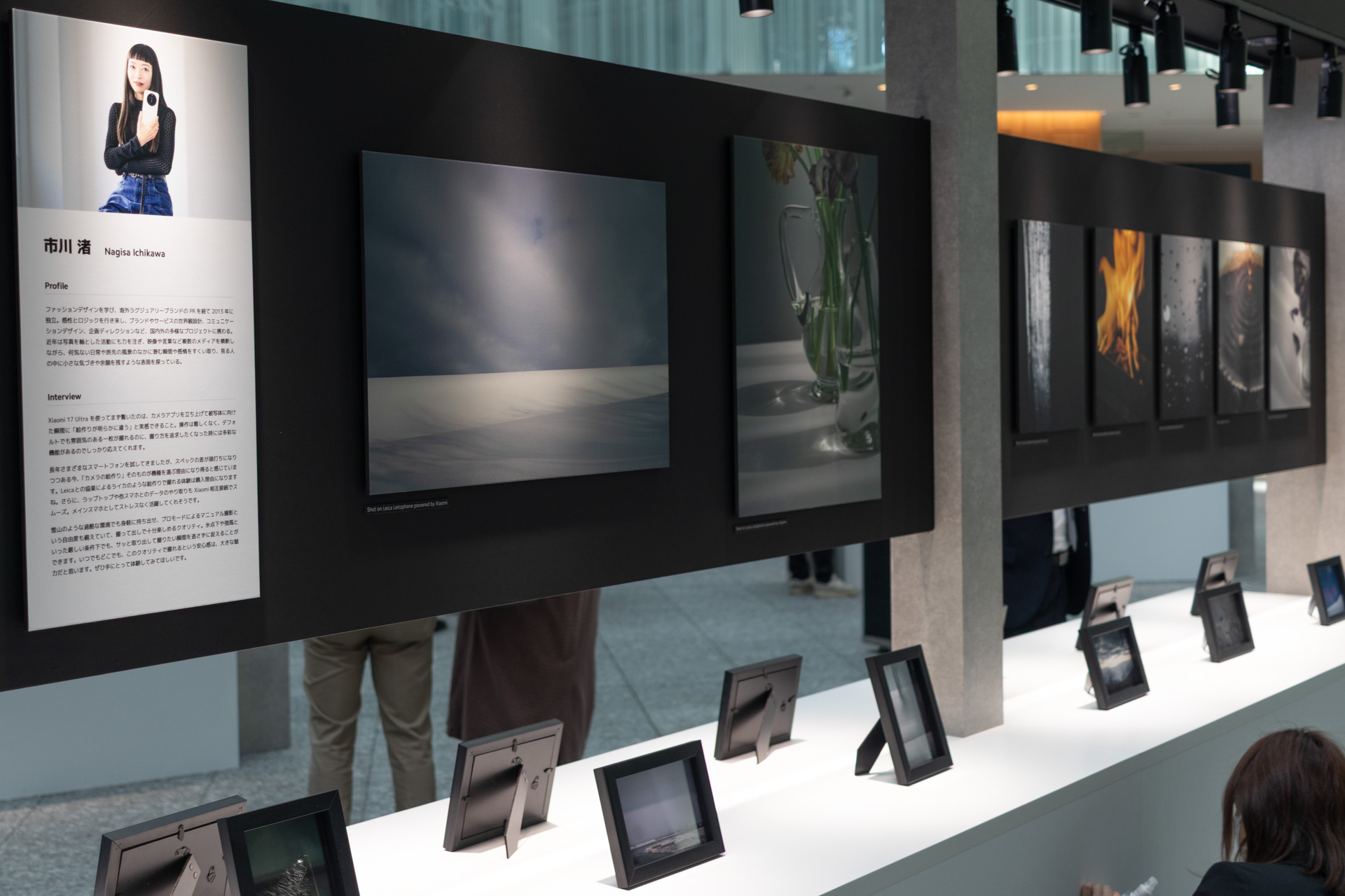 市川渚さんの展示