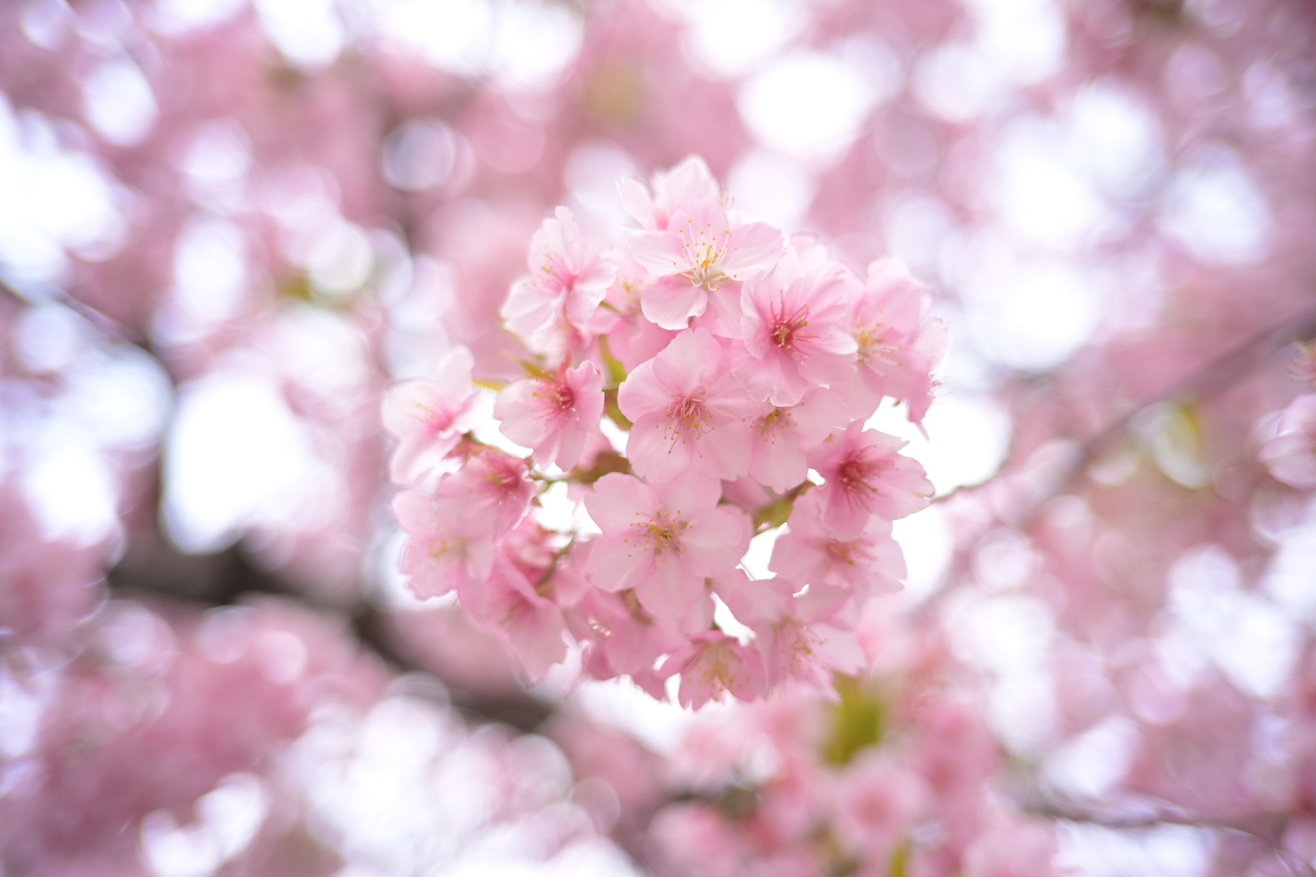 ニコン Z6III／SEPTON 40mm F2 Aspherical／40mm／絞り優先AE（1/160秒、F2.0、＋1.3EV）／ISO 720