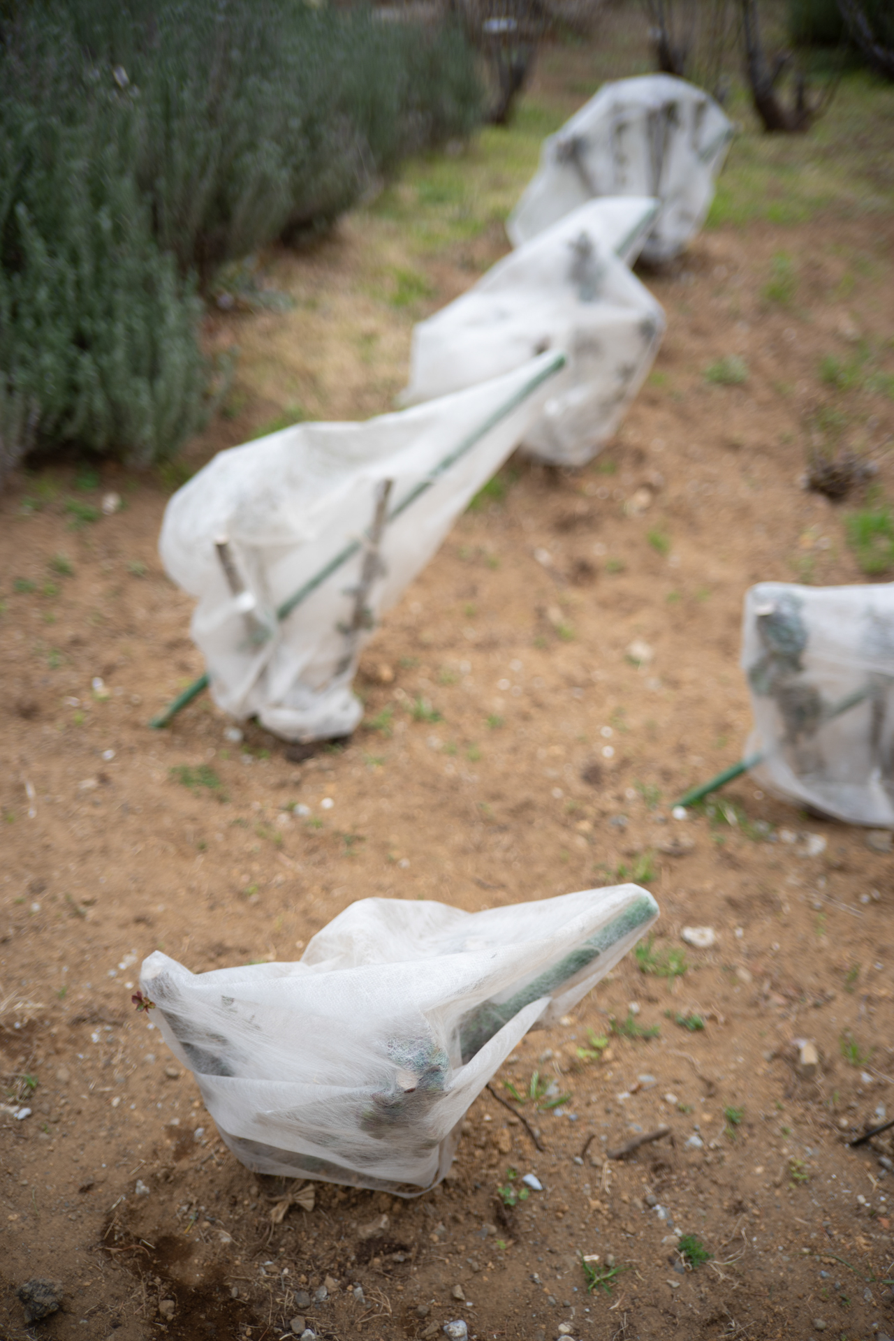 ニコン Z6III／SEPTON 40mm F2 Aspherical／40mm／絞り優先AE（1/250秒、F2.0、＋0.3EV）／ISO 100