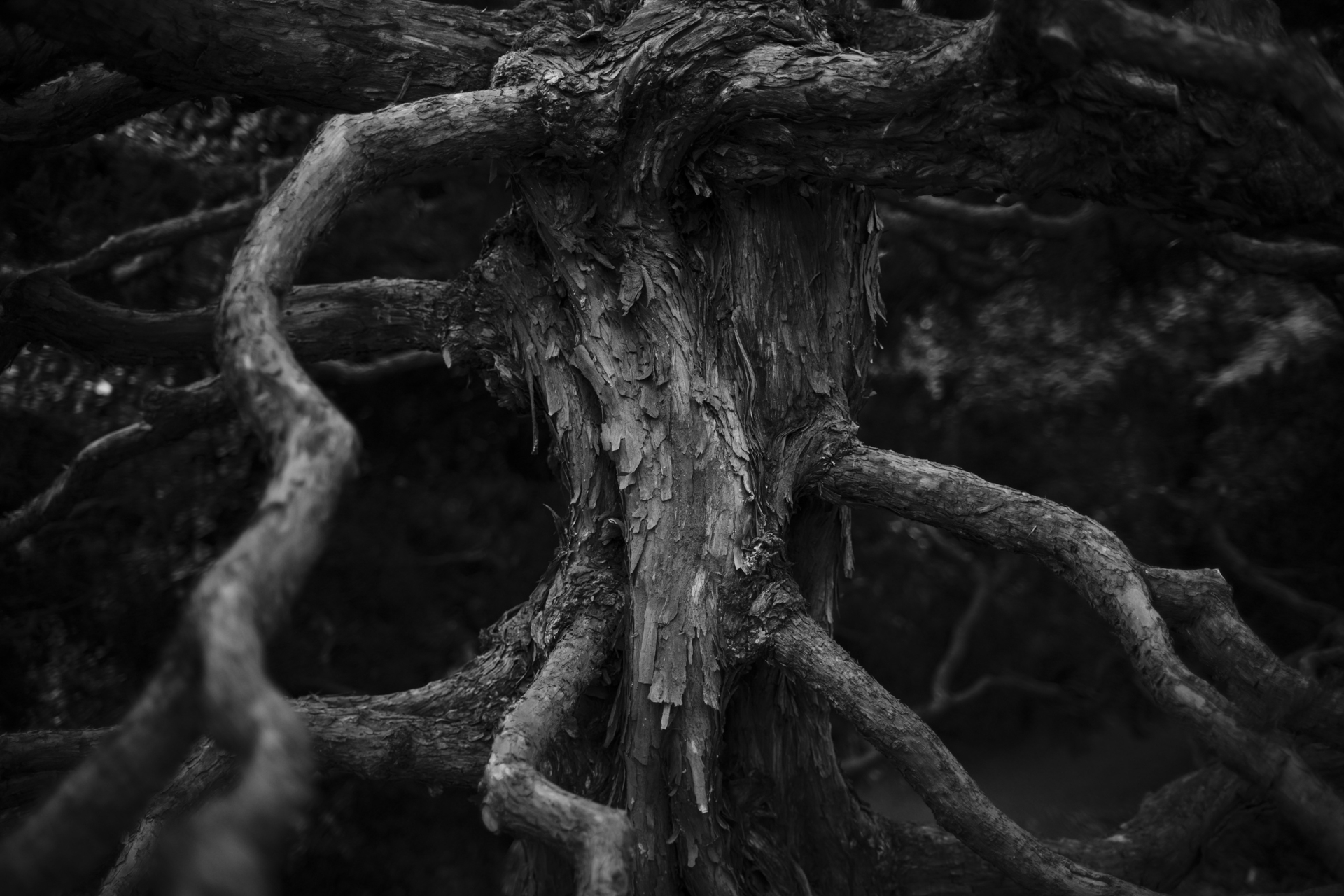 ニコン Z6III／SEPTON 40mm F2 Aspherical／40mm／絞り優先AE（1/160秒、F2.0、−0.7EV）／ISO 280