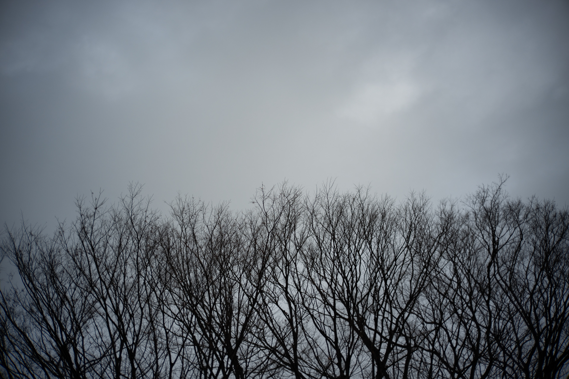 ニコン Z6III／SEPTON 40mm F2 Aspherical／40mm／絞り優先AE（1/2,000秒、F2.0、±0.0EV）／ISO 100