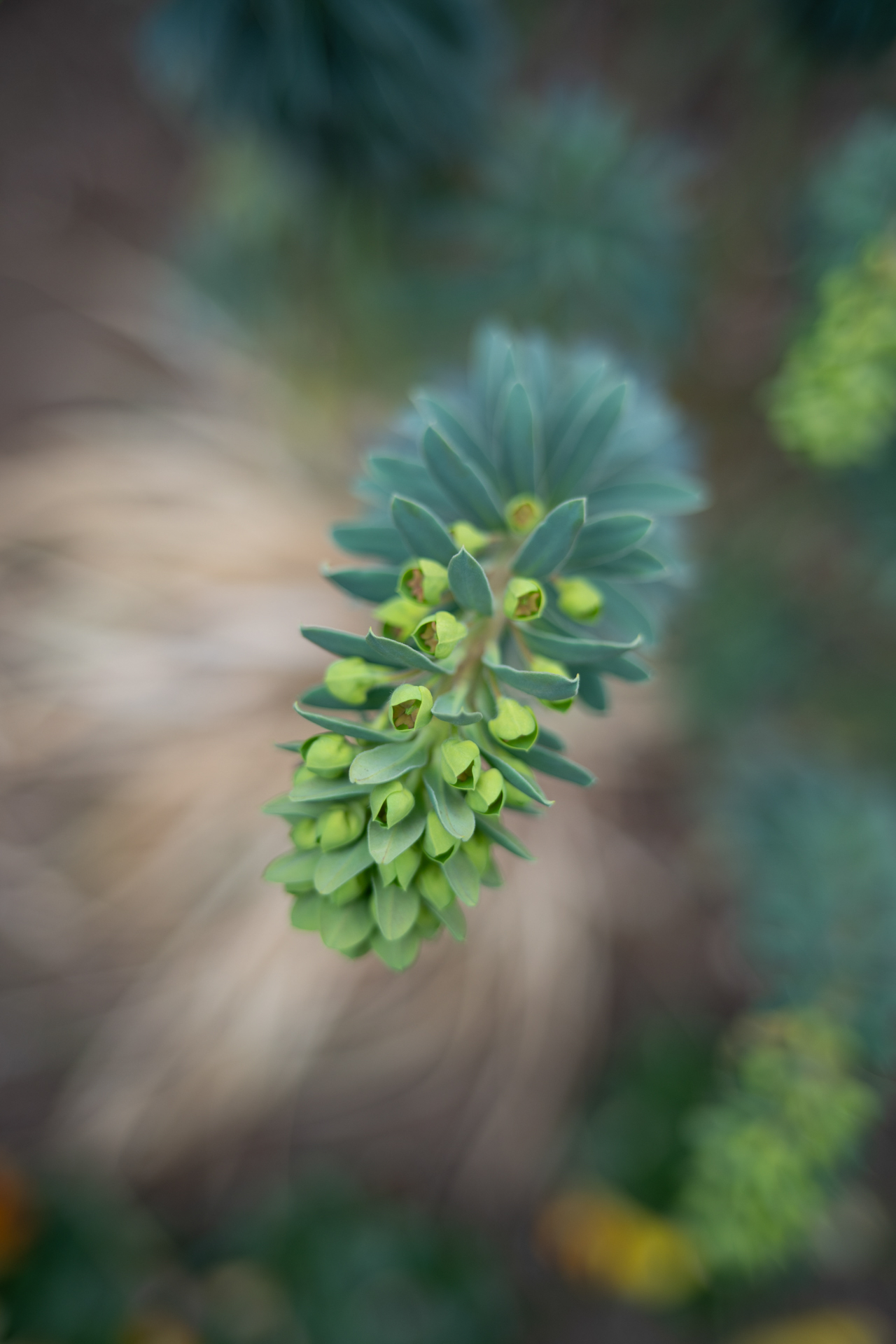 ニコン Z6III／SEPTON 40mm F2 Aspherical／40mm／絞り優先AE（1/160秒、F2.0、±0.0EV）／ISO 140