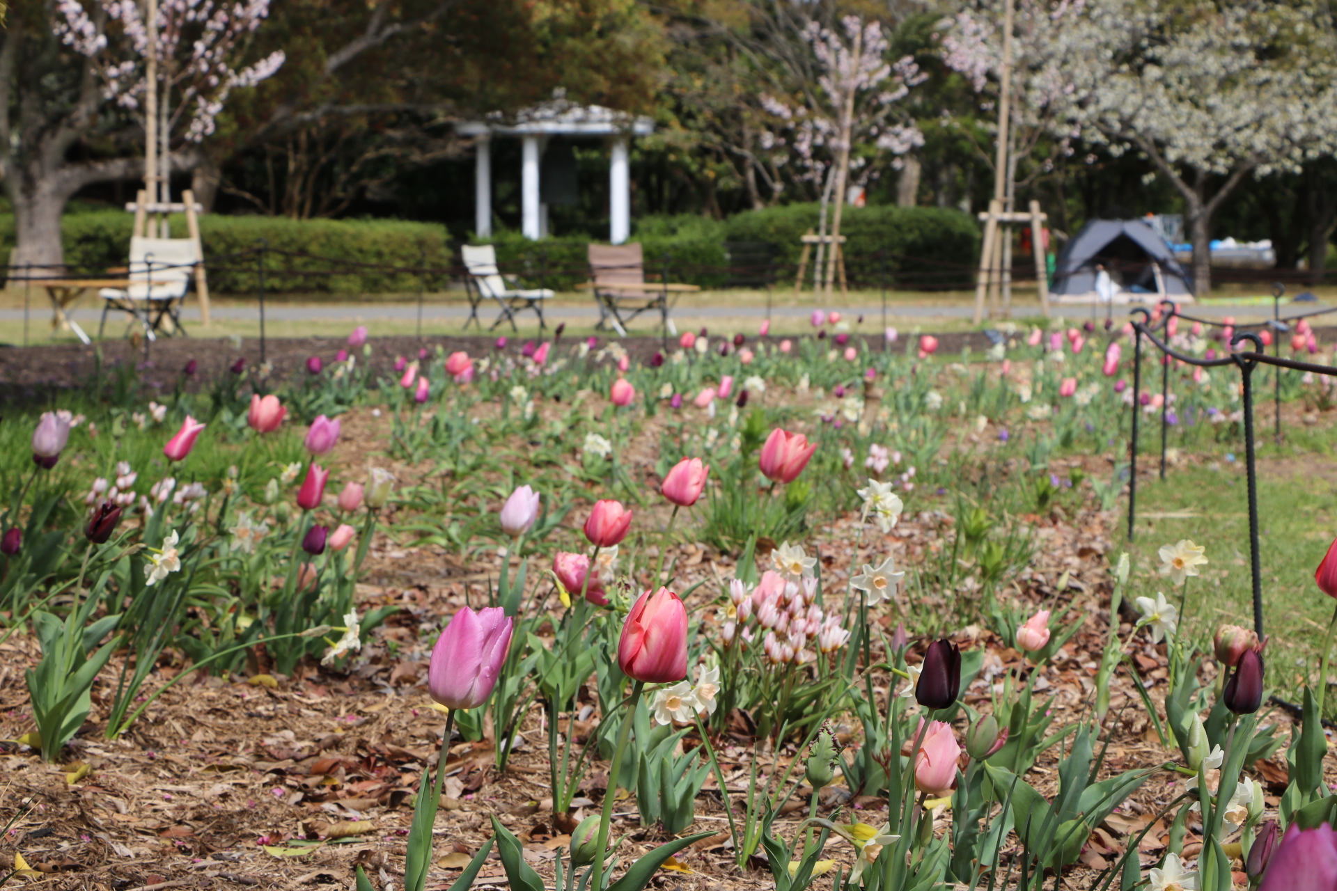 ペレニアルガーデン