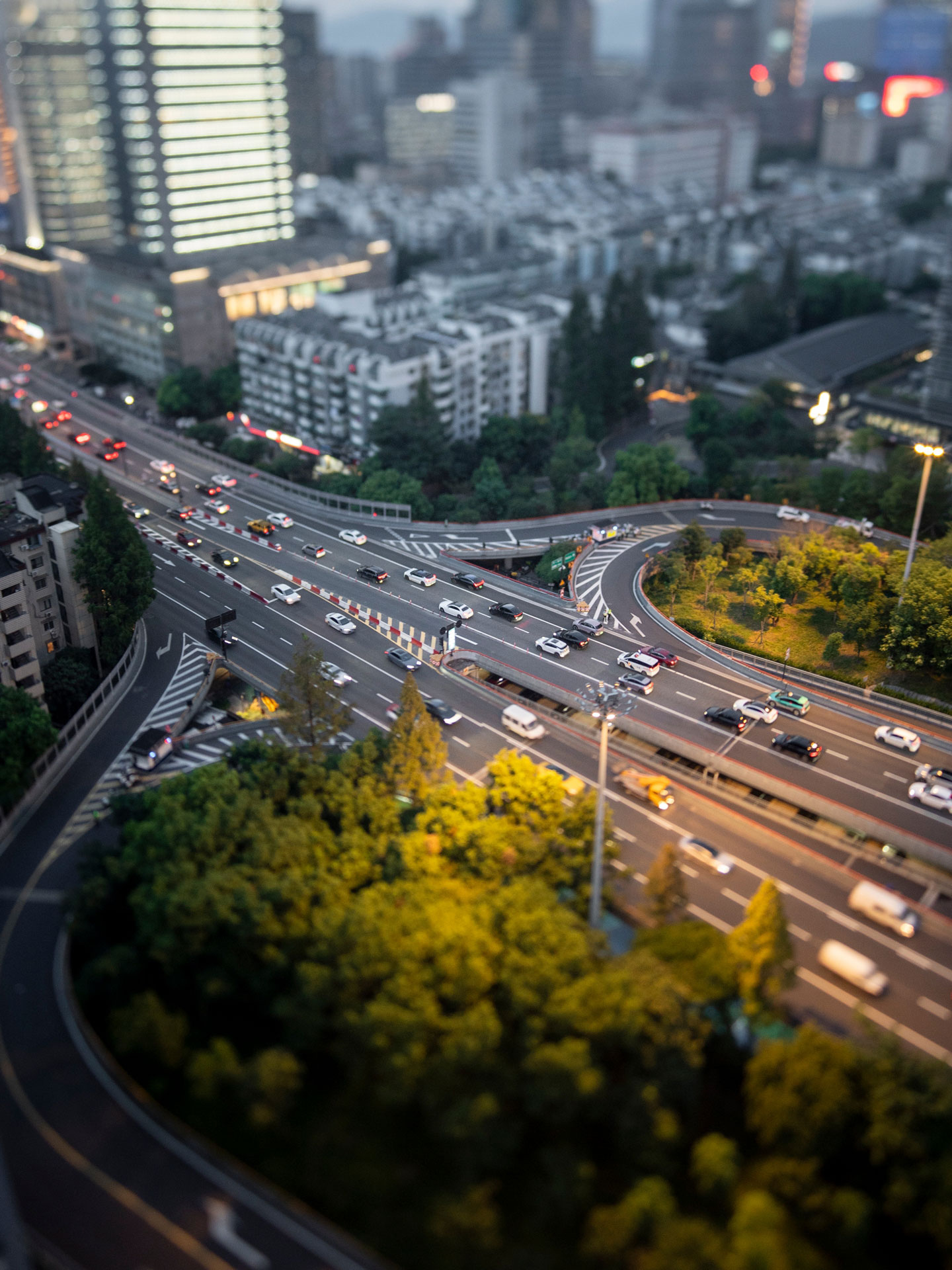 サンプル画像（提供：焦点工房）