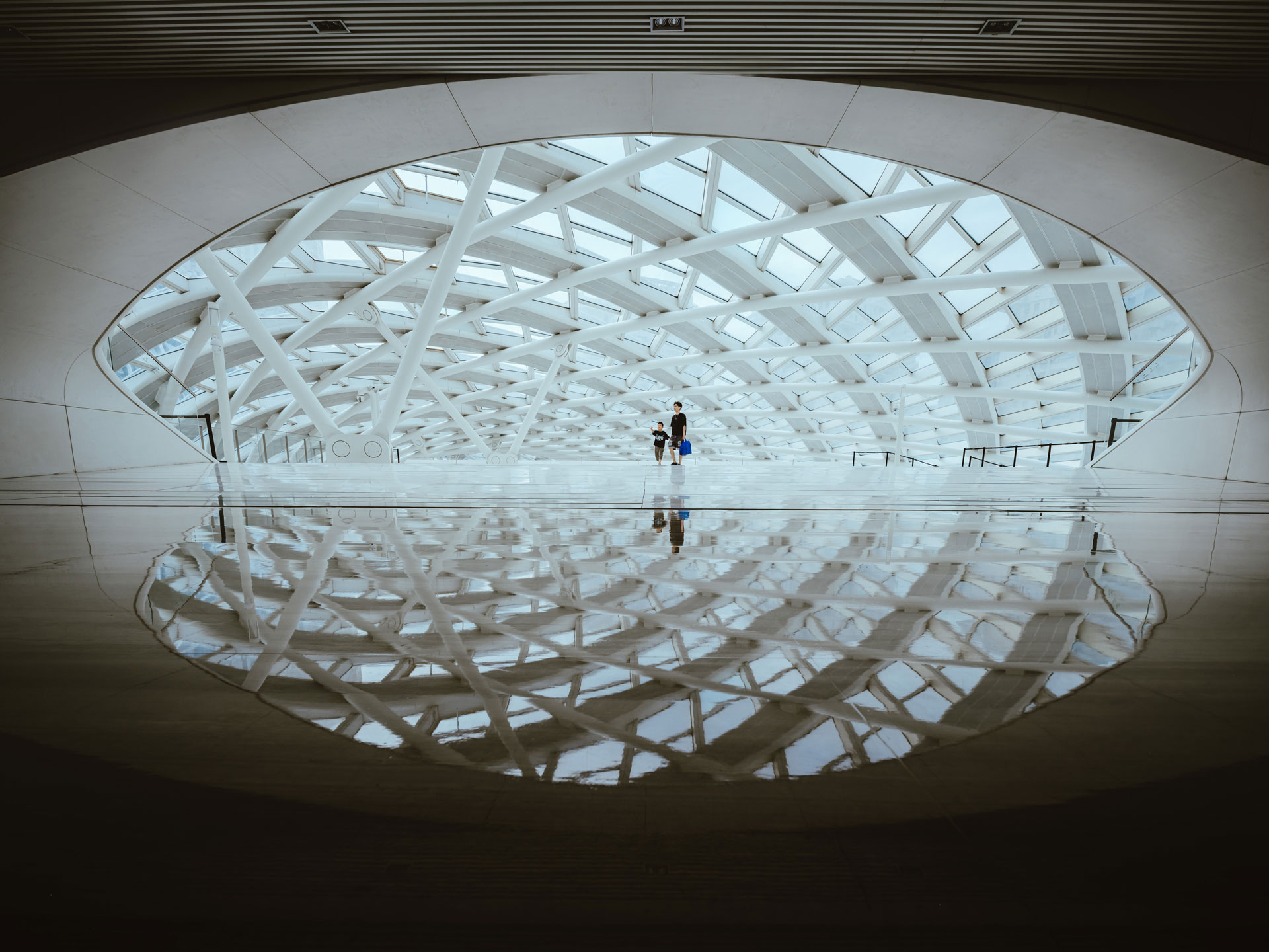 サンプル画像（提供：焦点工房）