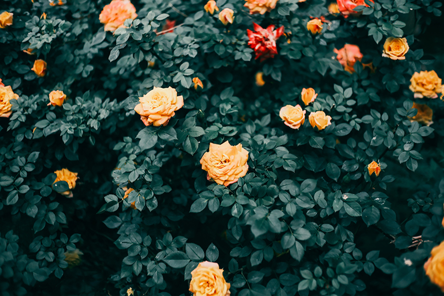 提供：E&Iクリエイション株式会社