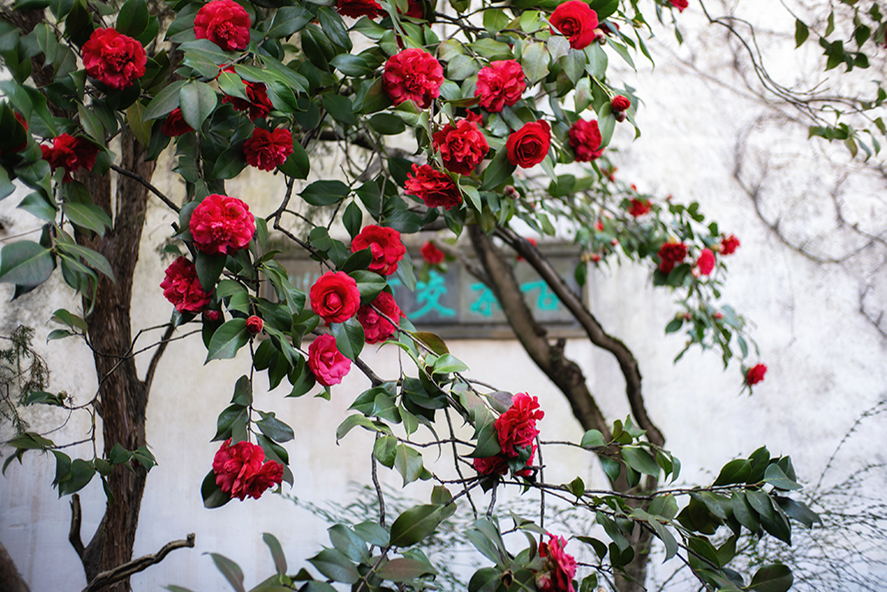 提供：E&Iクリエイション株式会社