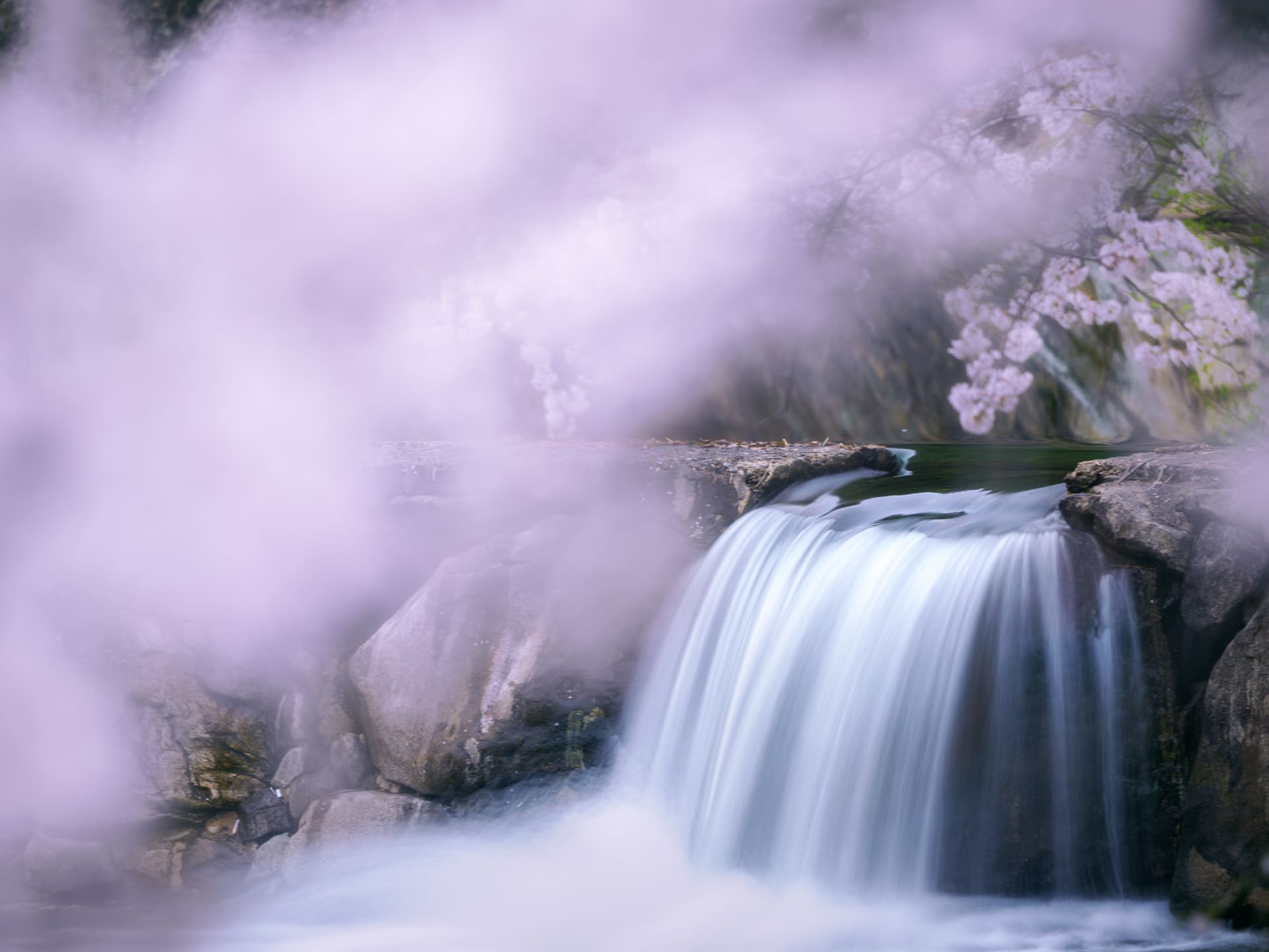 <span class="fnt-85">OM SYSTEM OM-1 Mark II／M.ZUIKO DIGITAL ED 50-200mm F2.8 IS PRO／200mm（35mm判換算400mm相当）／マニュアル露出（F2.8、1秒）／ISO 200／WB：オート</span>