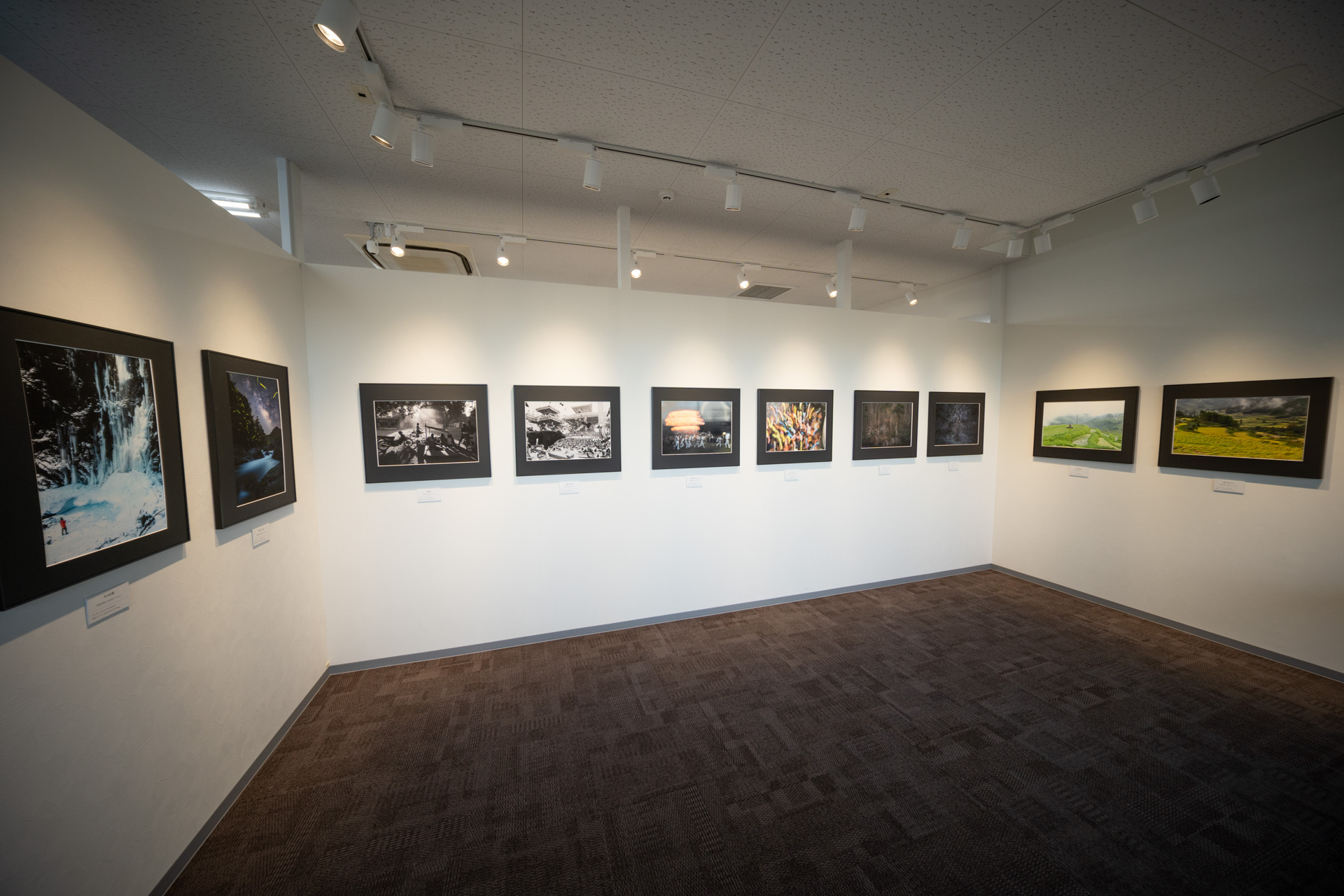 完成した展示の様子