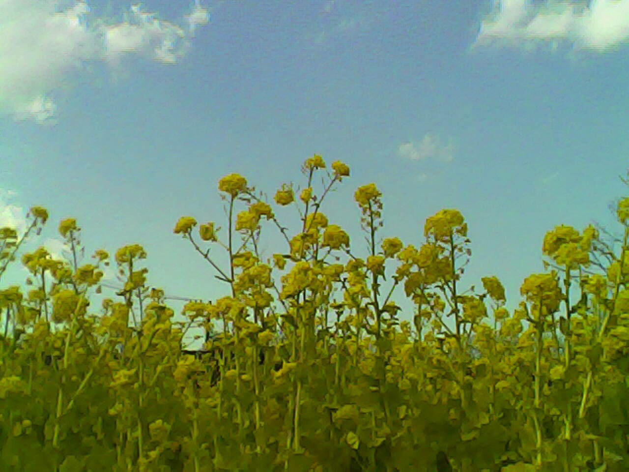 作例（提供：ケンコー・トキナー）