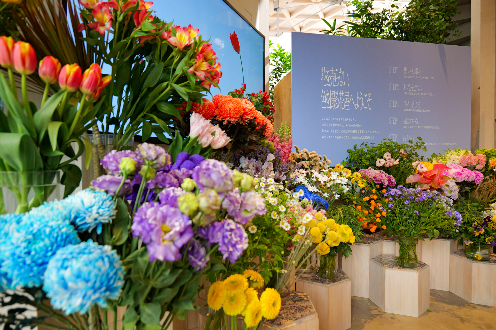 会場の入り口を入ると、さっそく花に囲まれる