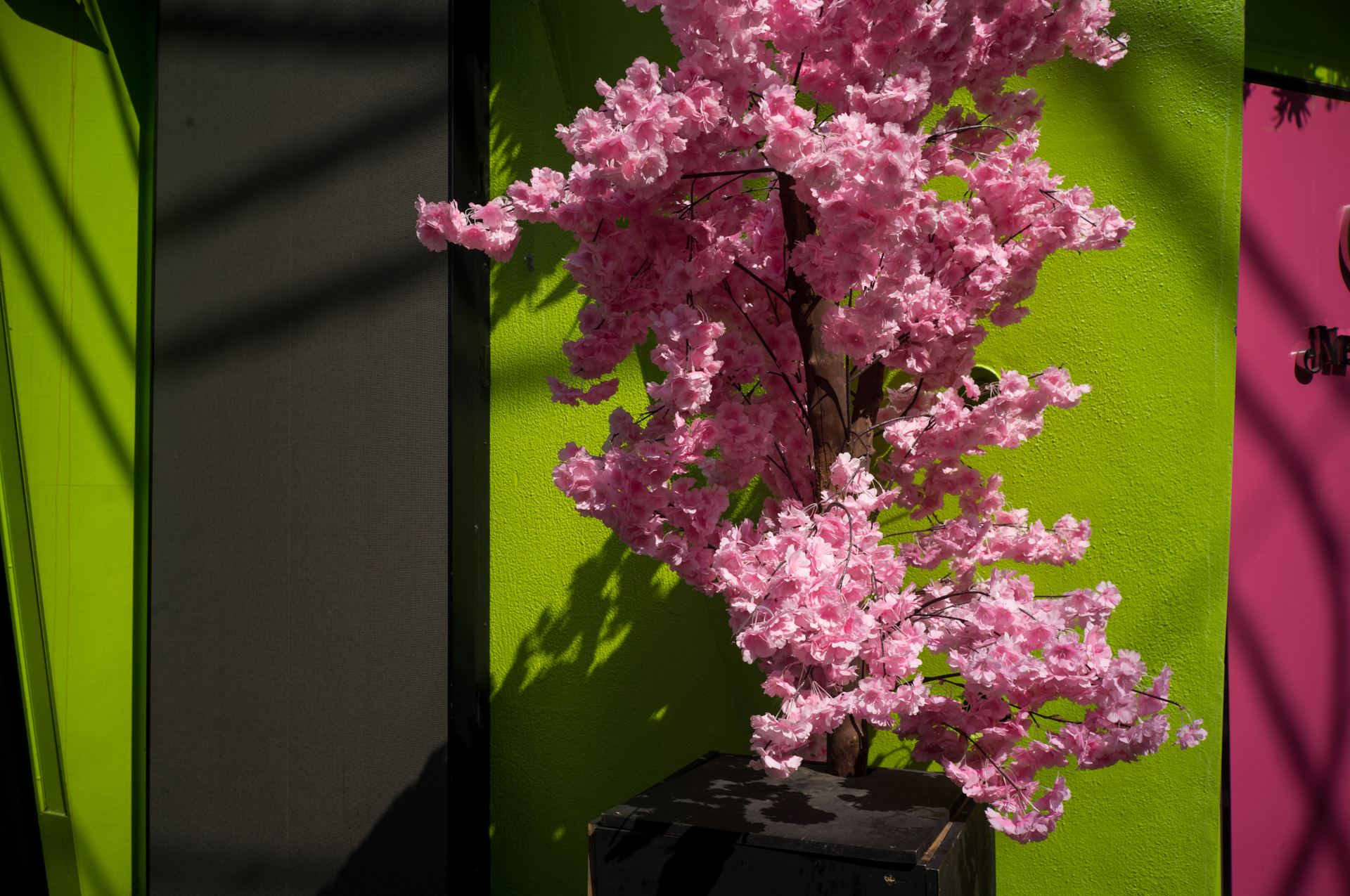 比較的近い距離のほうが線が細く感じるのは謎ですが、光線状態によるのかもしれません。<br><span class="fnt-85">ライカM11-P／アベノン 28mm F3.5／絞り優先AE（1/1,600秒、F8）／ISO 400</span>