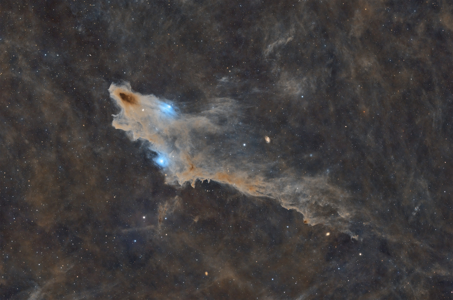 提供：株式会社サイトロンジャパン