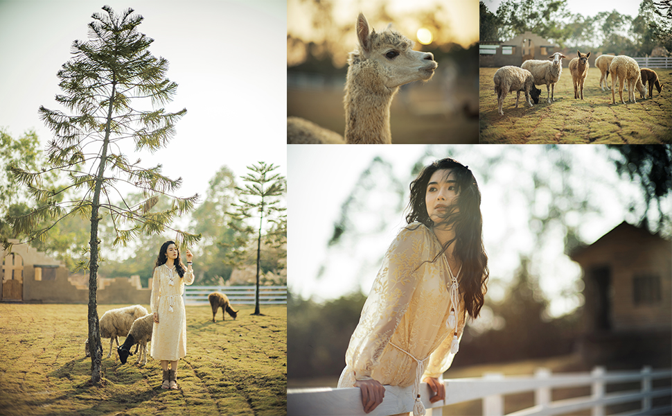 撮影イメージ（提供：E&Iクリエイション株式会社）