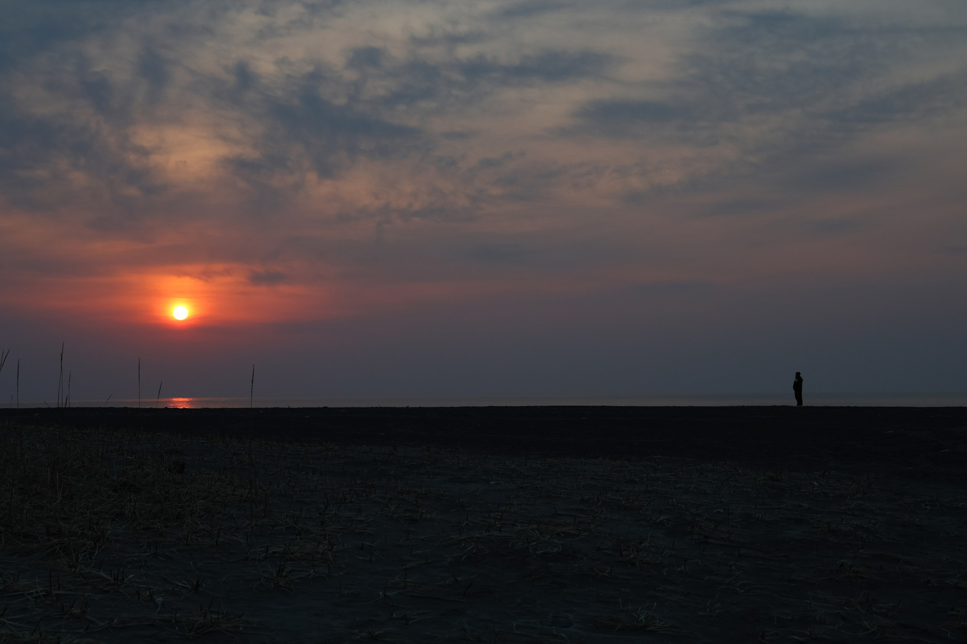 キヤノン EOS R6 Mark II／RF24-105mm F4 L IS USM／絞り優先AE（F8、1/800秒、－2EV）／ISO 500