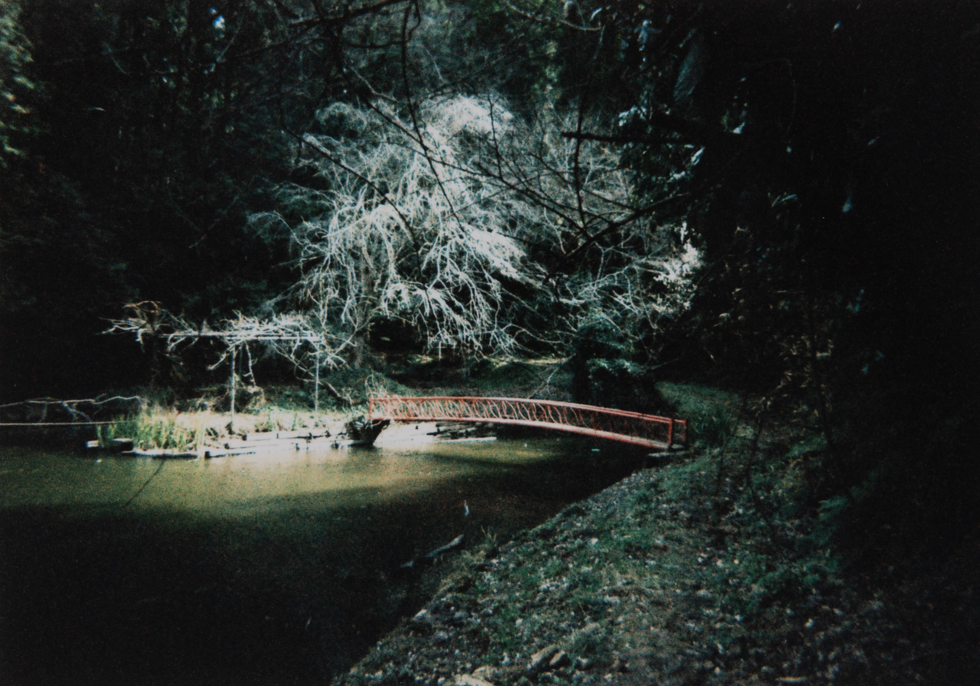 赤い橋のかかる池