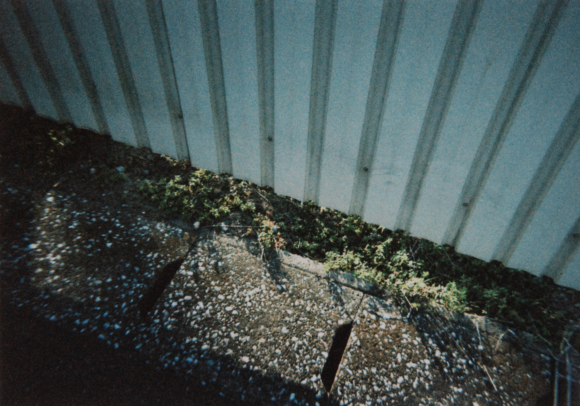 塀の下に溢れた光