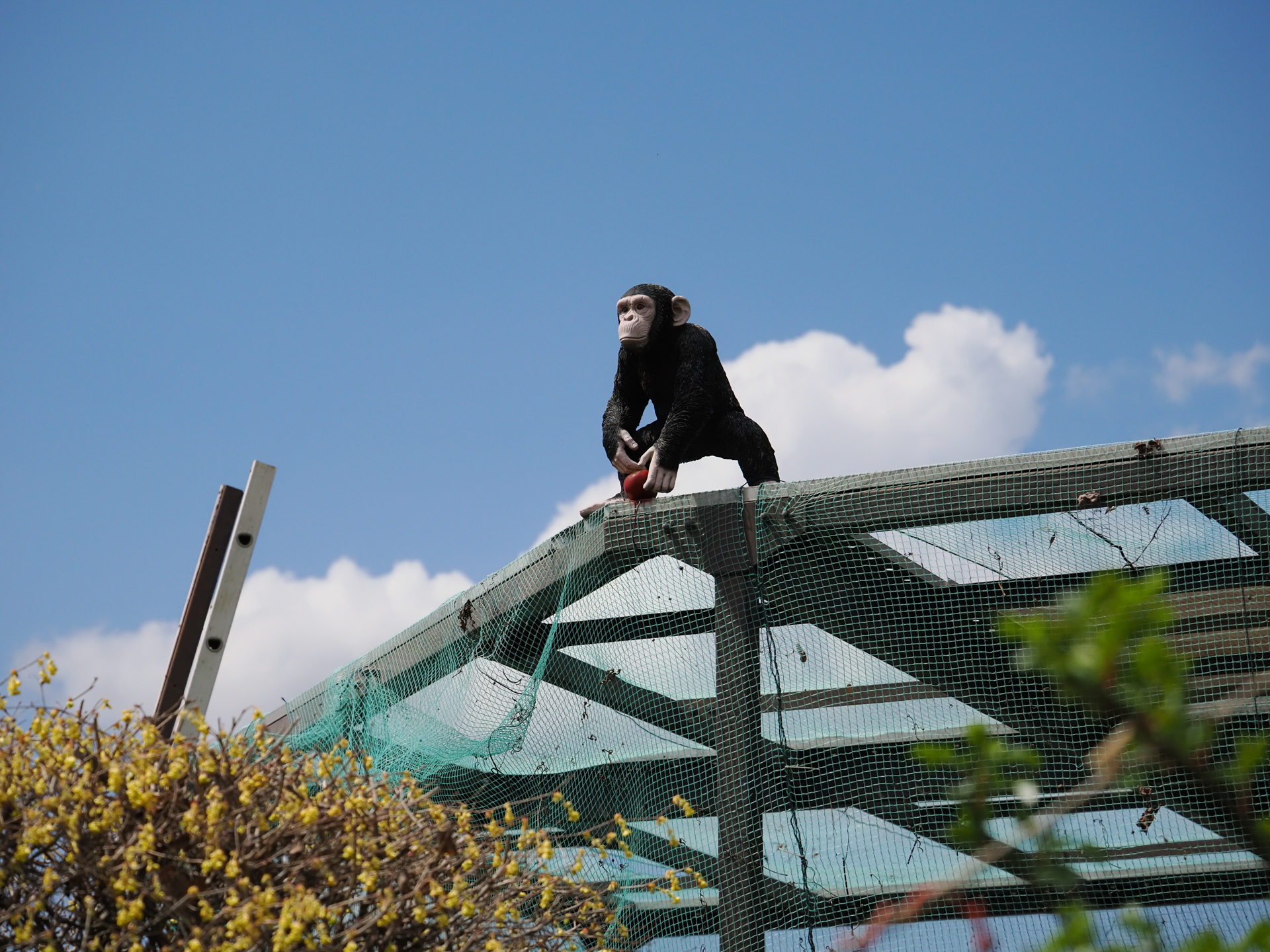 上からワイド端・テレ端・2倍テレコンバーターの画角比較。35mm判換算で、100~800ｍｍ相当をカバーできます。しかも画質は変わらないですね。撮影は手持ちで！ これはかなり感動が大きいですね。