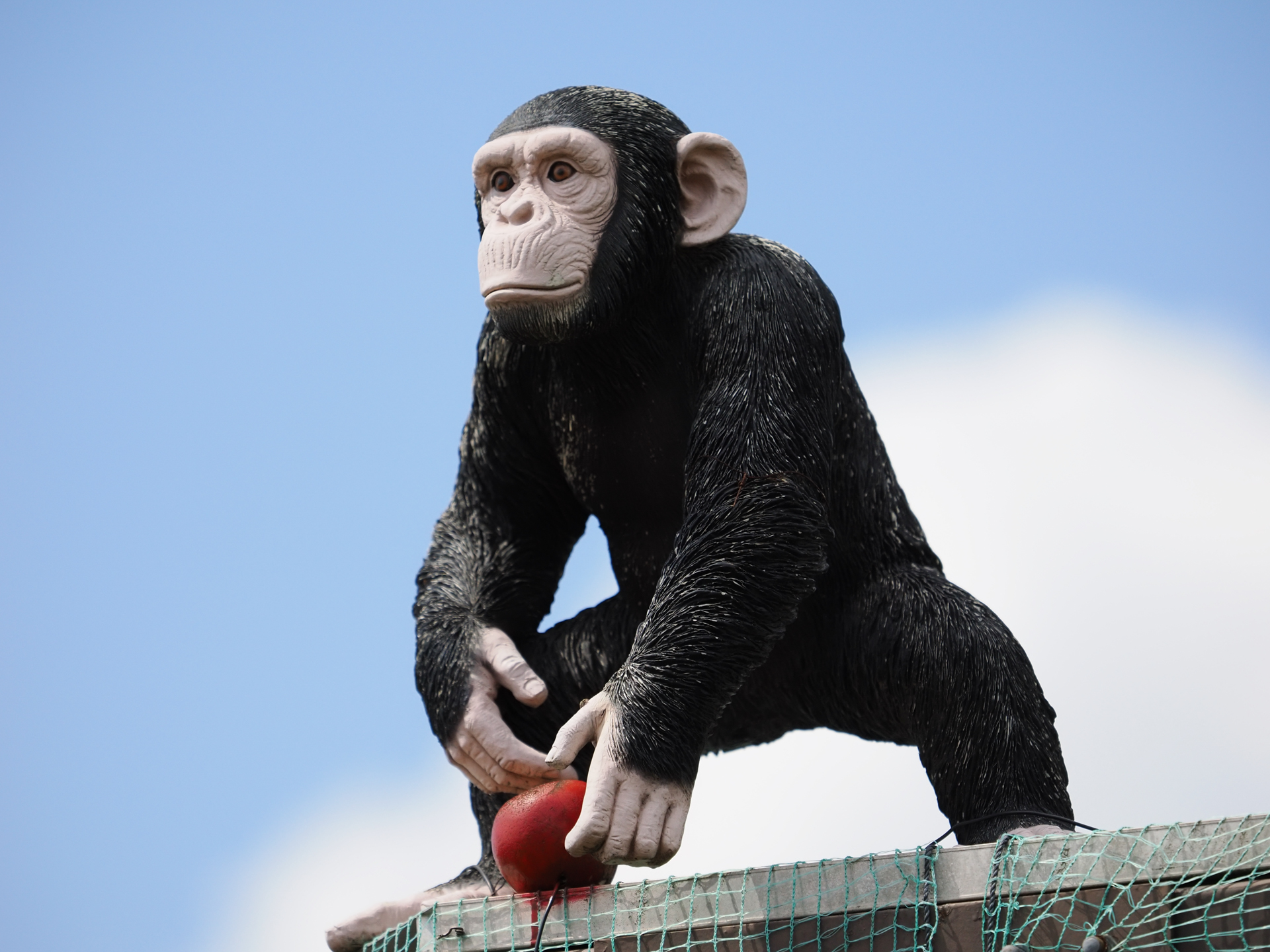 上からワイド端・テレ端・2倍テレコンバーターの画角比較。35mm判換算で、100~800ｍｍ相当をカバーできます。しかも画質は変わらないですね。撮影は手持ちで！ これはかなり感動が大きいですね。