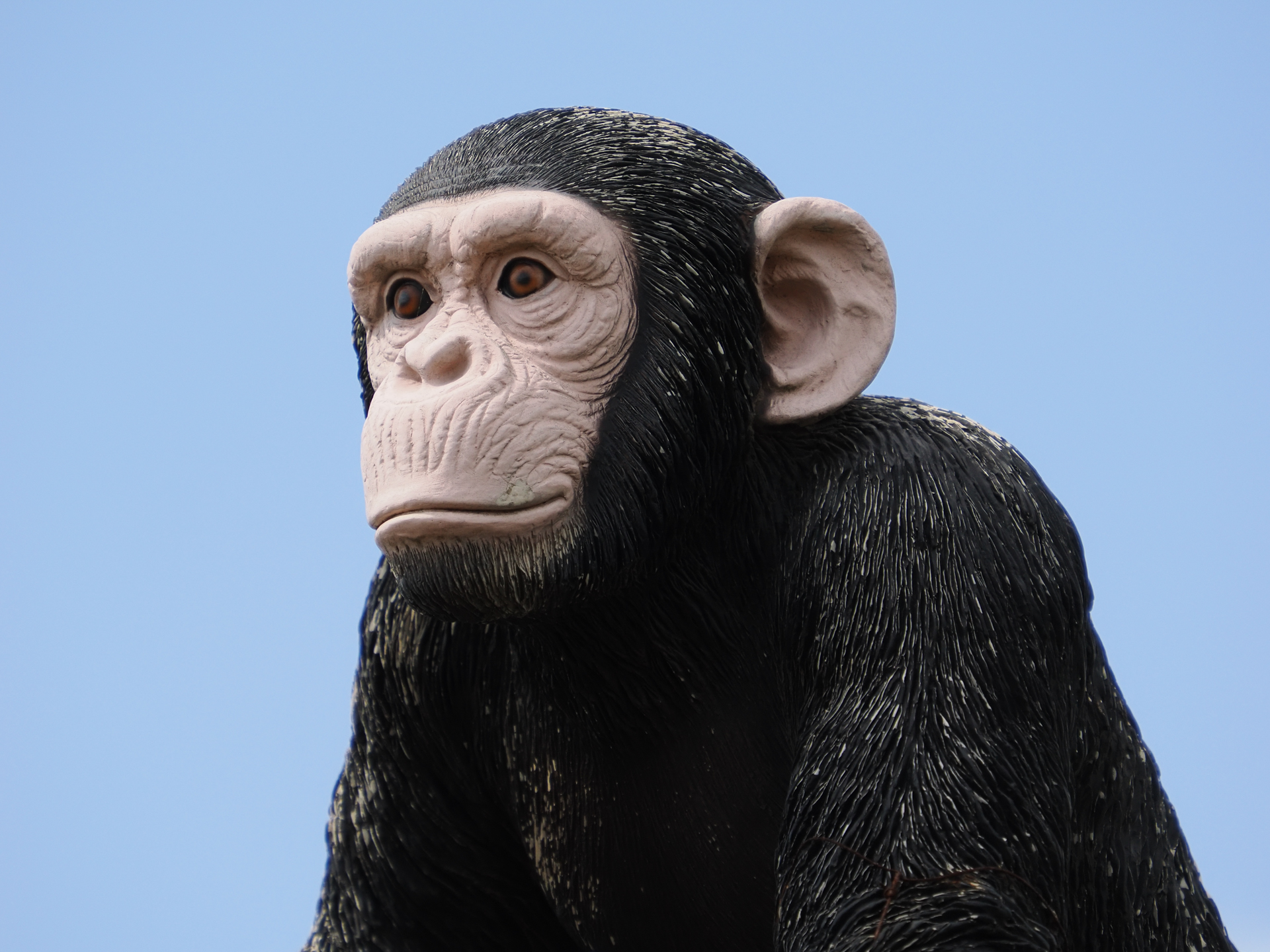 上からワイド端・テレ端・2倍テレコンバーターの画角比較。35mm判換算で、100~800ｍｍ相当をカバーできます。しかも画質は変わらないですね。撮影は手持ちで！ これはかなり感動が大きいですね。