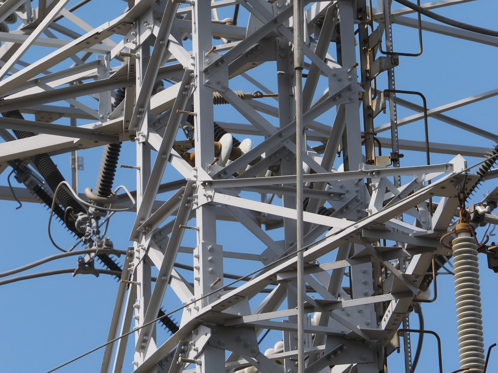 ごちゃごちゃっとした部分にレンズを向けて圧縮効果を見てみます。画角は狭いですが、実焦点距離を考えると少し絞り込んだだけで、けっこう被写界深度の深さを生かせます。<br><span class="fnt-85">OM SYSTEM OM-1／M.ZUIKO DIGITAL ED 50-200mm F2.8 IS PRO＋MC-20／400mm（800mm相当）／絞り優先AE（1/1,250秒、F11、±0.0EV）／ISO 800</span>