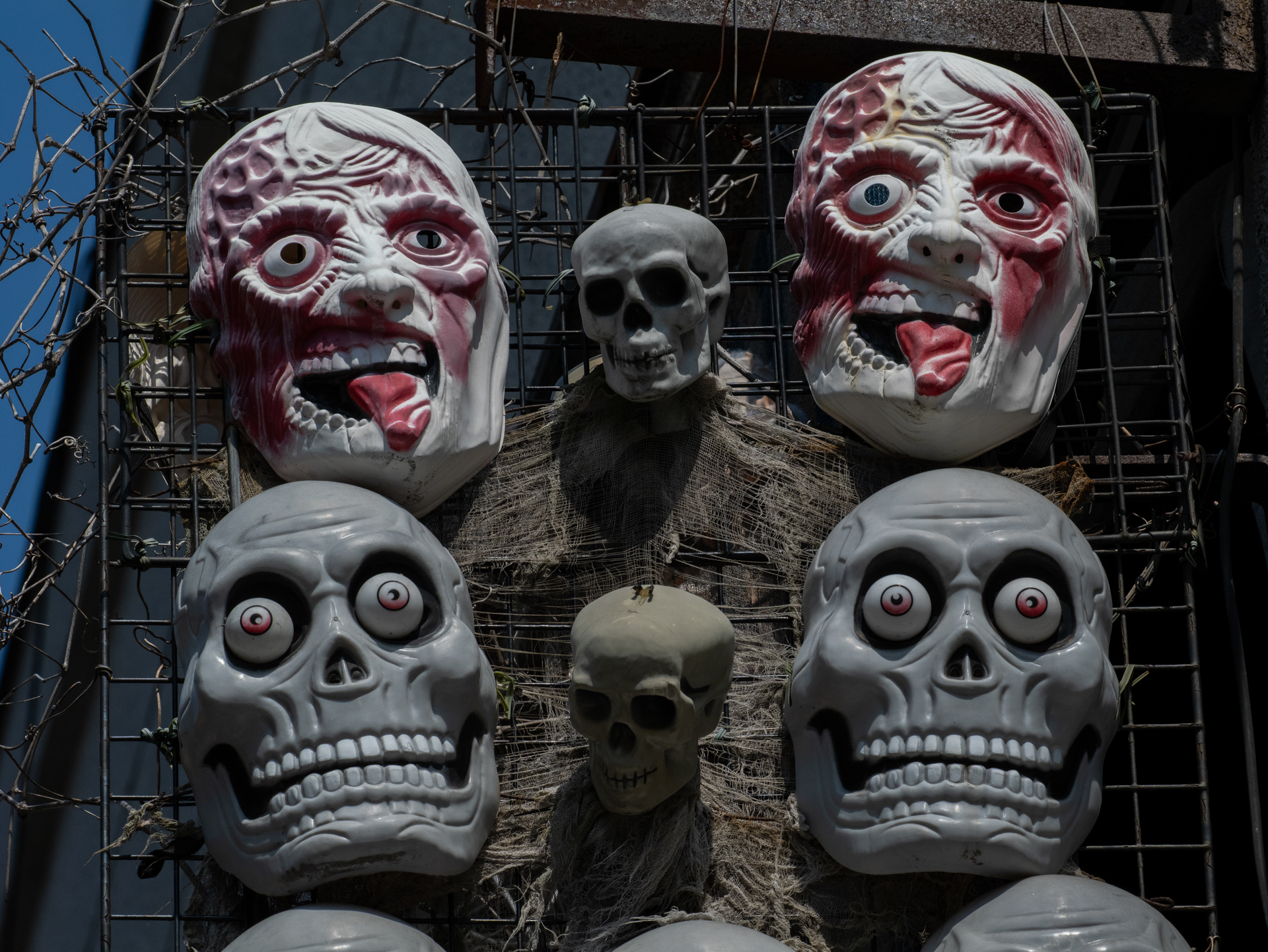 パナソニックのLUMIX G9PROIIに装着して使用してみました。絞り込んでみましたが、画面内にあるものはフォーカスが合っています。<br><span class="fnt-85">パナソニック LUMIX G9PROII／M.ZUIKO DIGITAL ED 50-200mm F2.8 IS PRO／121mm（242mm相当）／プログラムAE（1/1,600秒、F9.0、−0.7EV）／ISO 400</span>