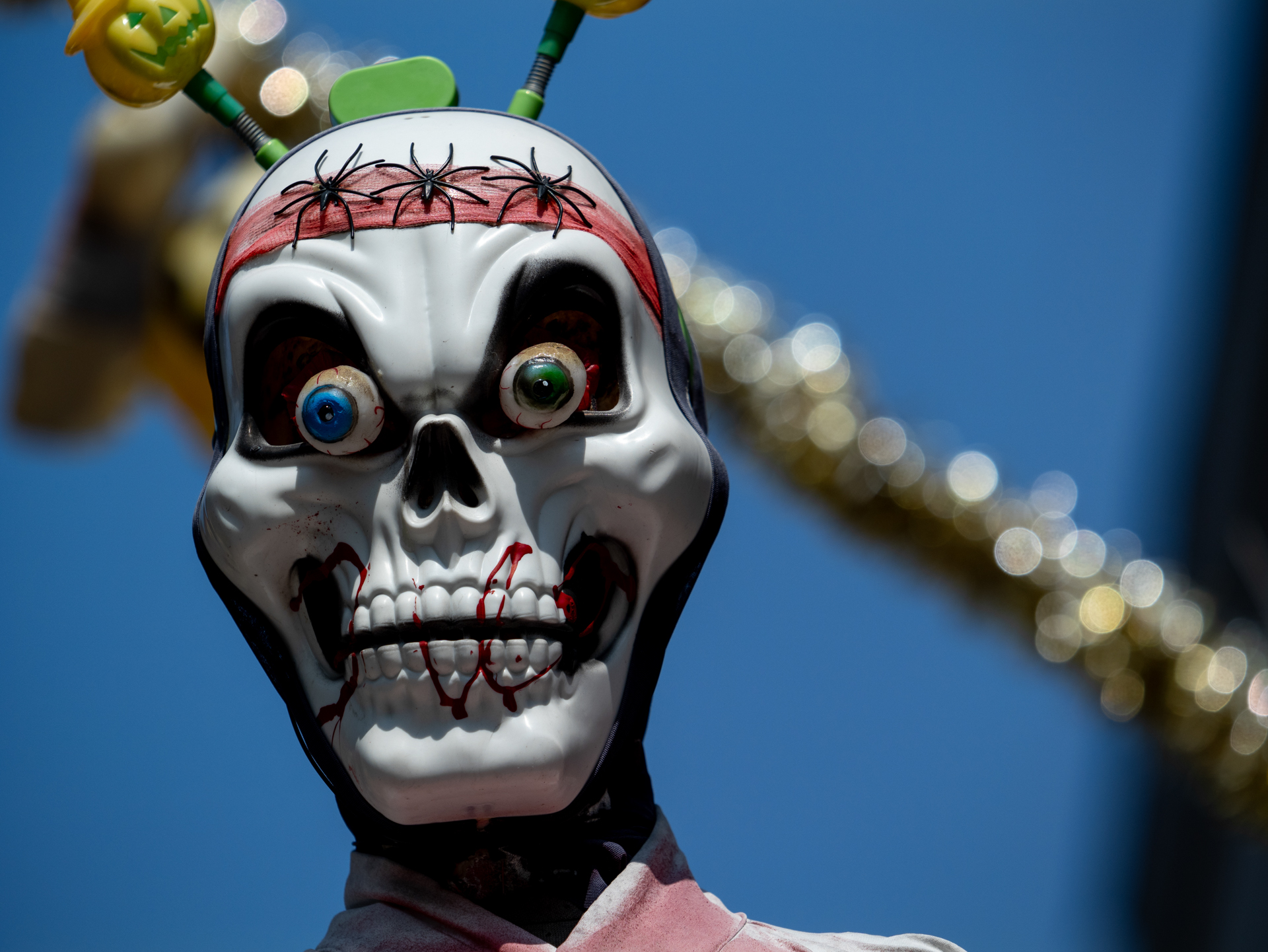 こうした人形でも顔認識はうまく機能しました。ボケ効果も申し分ありませんね。<br><span class="fnt-85">パナソニック LUMIX G9PROII／M.ZUIKO DIGITAL ED 50-200mm F2.8 IS PRO／164mm（328mm相当）／プログラムAE（1/5,000秒、F2.8、−0.7EV）／ISO 100</span>