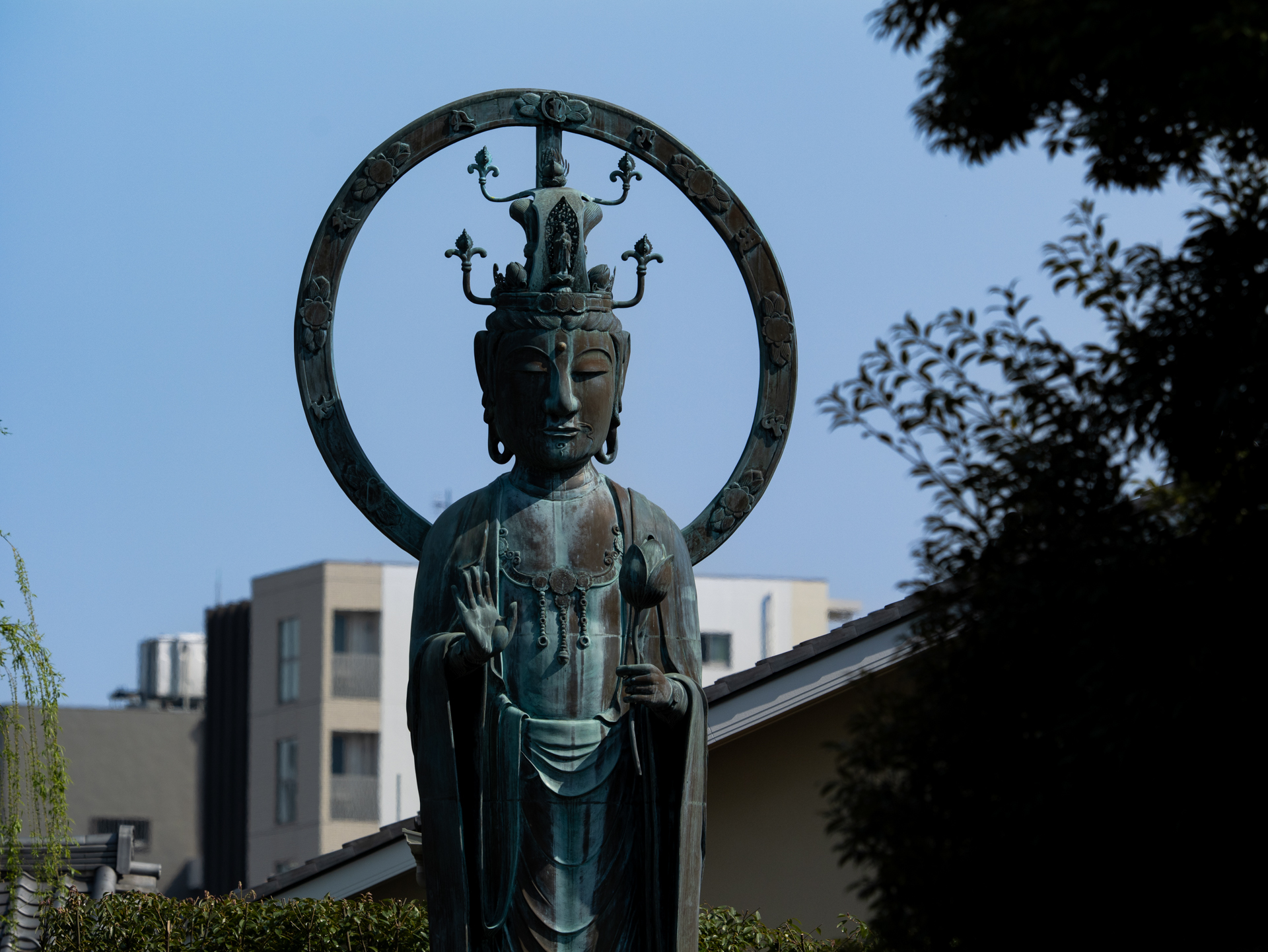 カメラとレンズのバランスが良いので超望遠域でも取り回しがよく気軽に撮れる印象を持ちました。<br><span class="fnt-85">パナソニック LUMIX G9PROII／M.ZUIKO DIGITAL ED 50-200mm F2.8 IS PRO／200mm（400mm相当）／プログラムAE（1/1,600秒、F4.0、−1EV）／ISO 100</span>