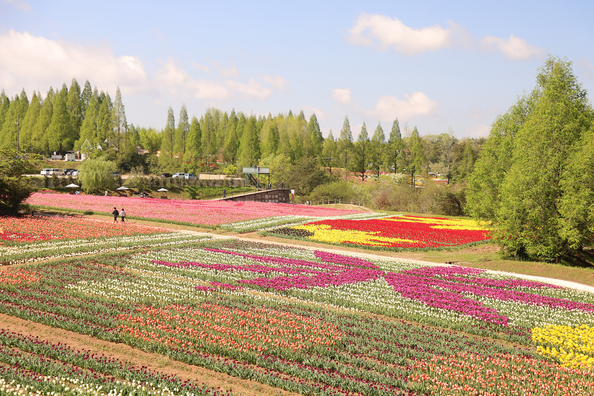 初恋の丘（過去の様子）