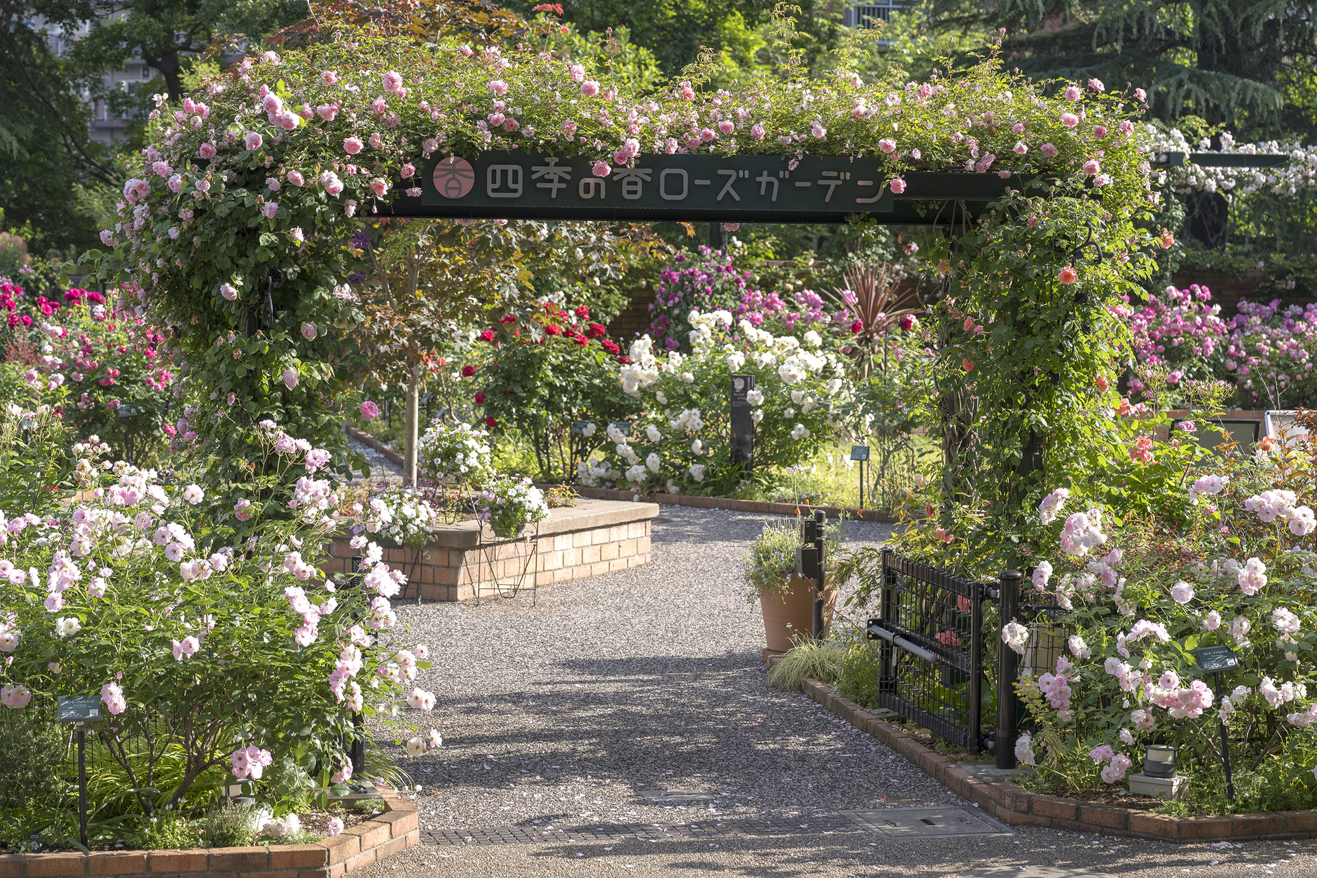 香りのローズガーデンメインゲート