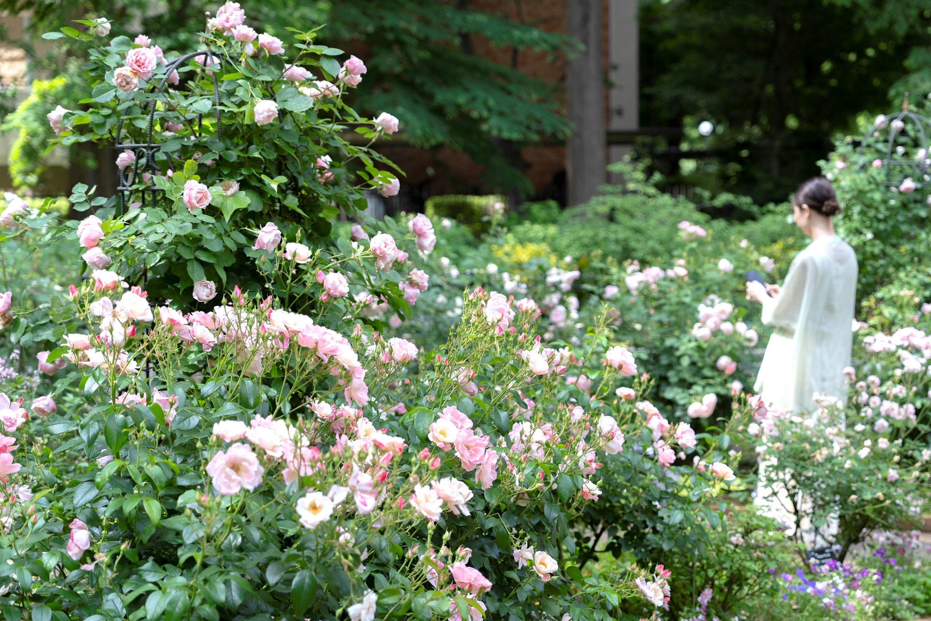 画像はイメージ