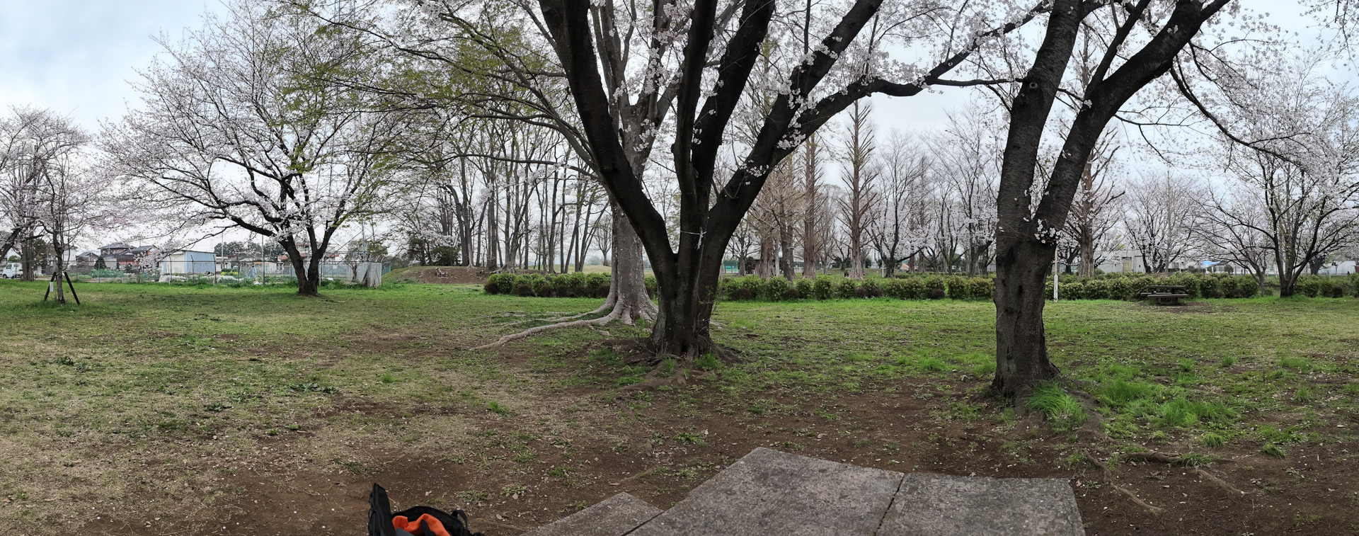 DJI Osmo Pocket 4／パノラマ撮影