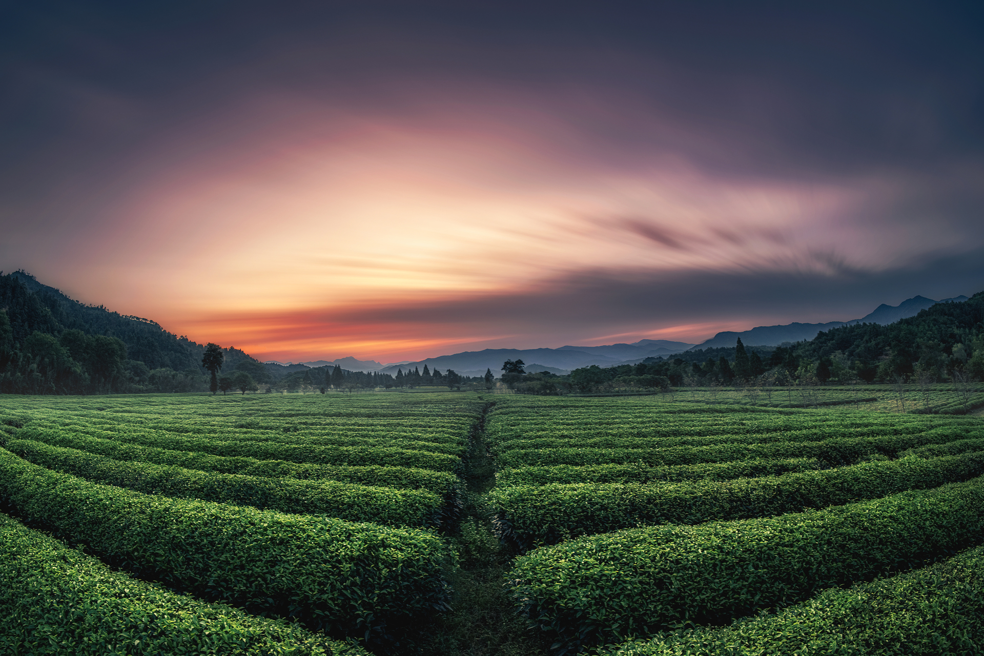 撮影イメージ（提供：焦点工房）