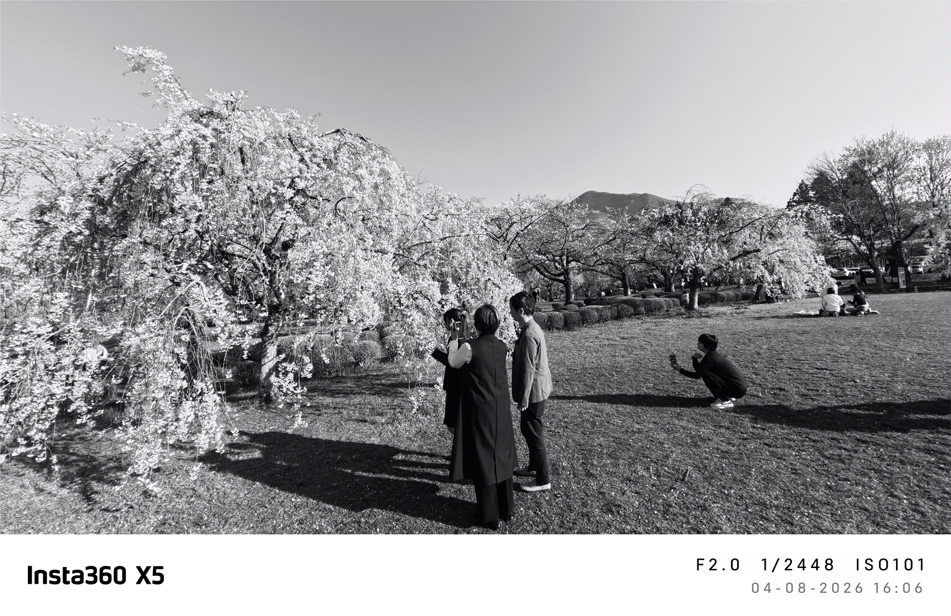 16:9 シグネチャーフレーム モノクローム