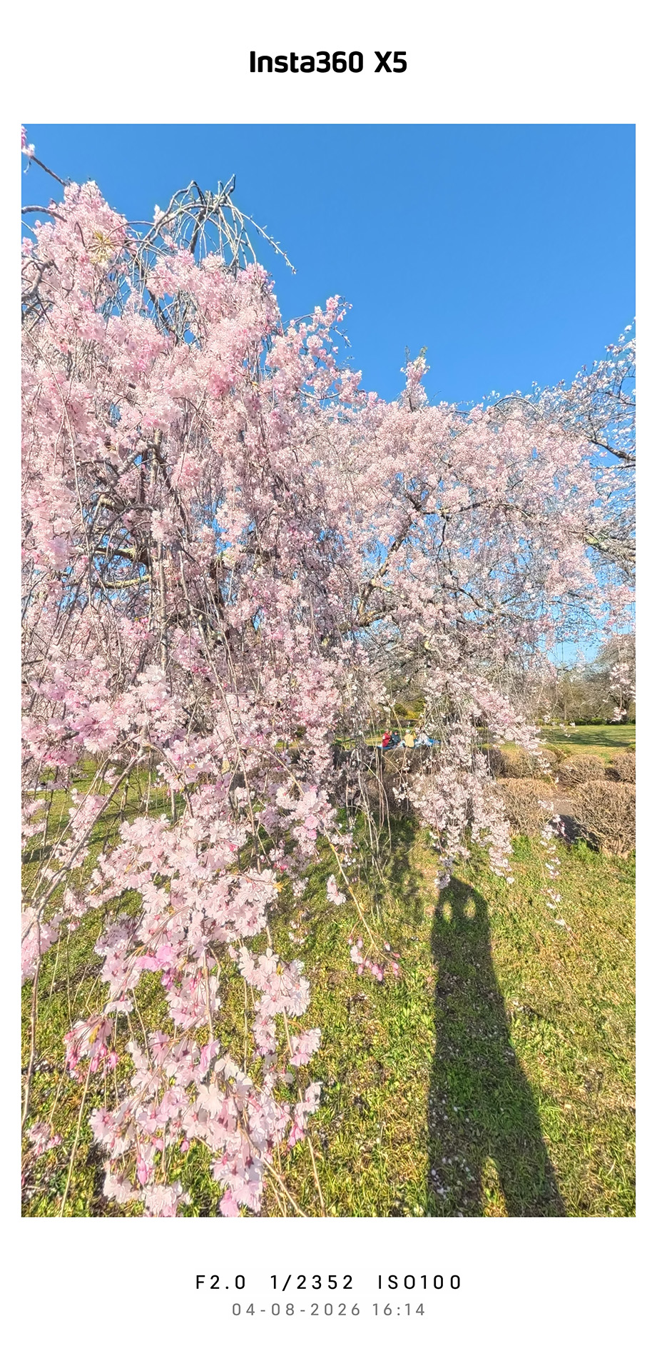 9:16 ミニマルフレーム ノーマル