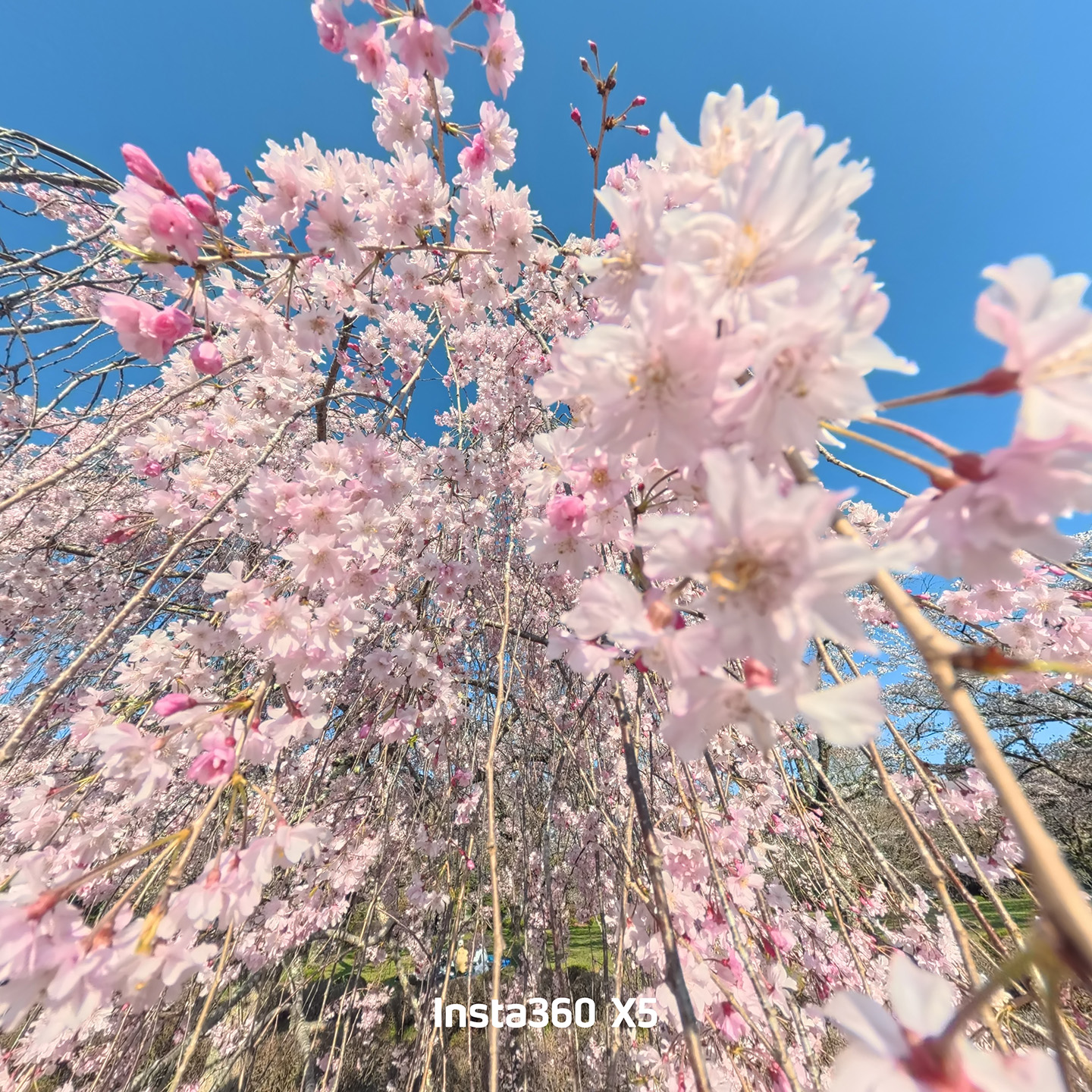 1:1 フレームなし ノーマル