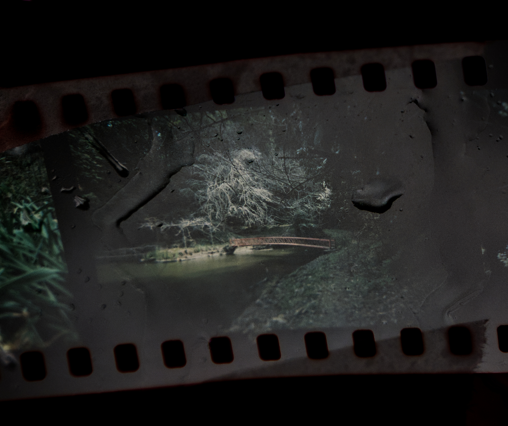 Affinityのカーブを微調整してニュートラルな色合いに補正したもの