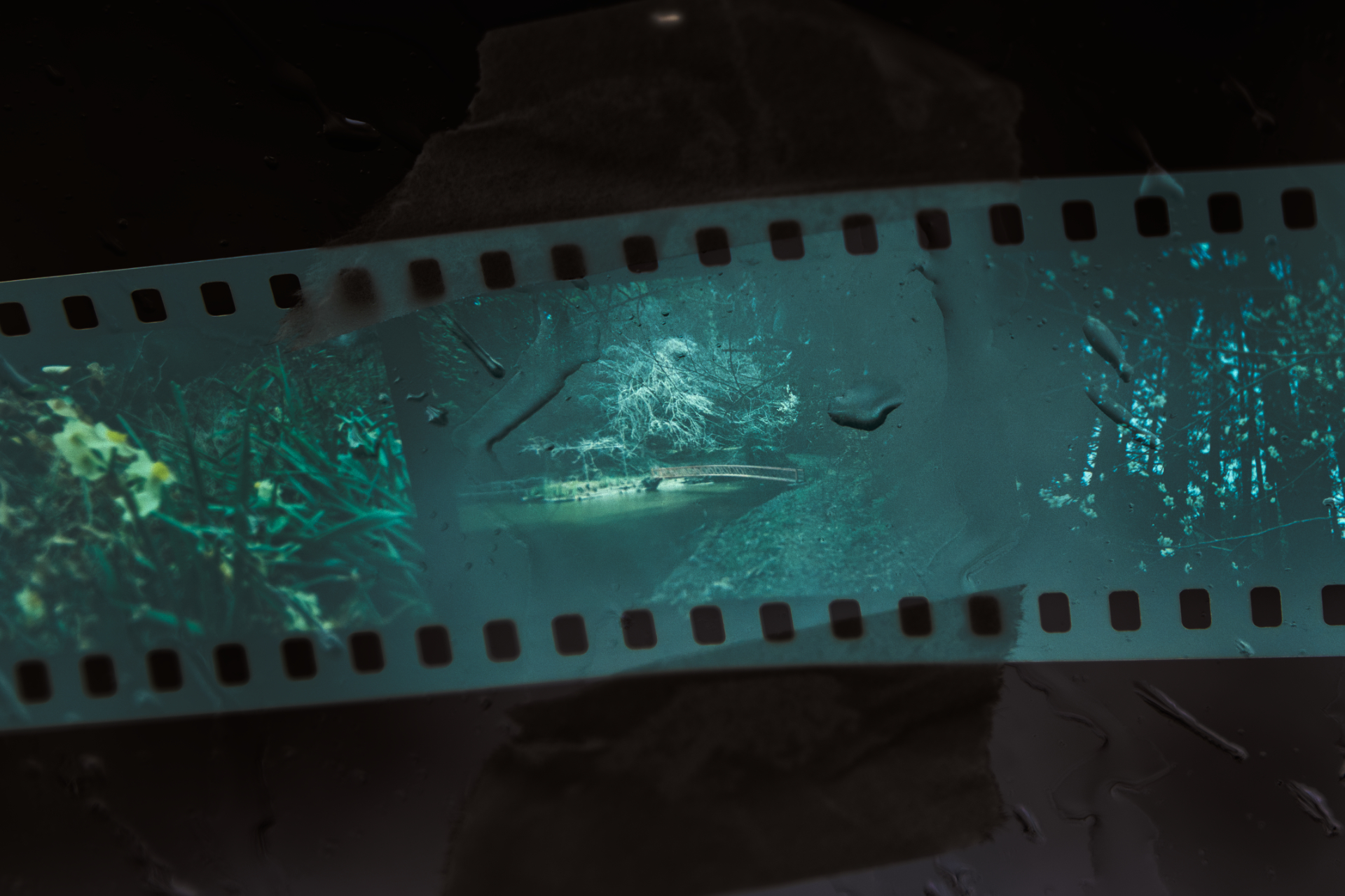 完成。橋の上の木にスポットライトが当たったように表現できた。フィルムを侵食するように雨粒が写っているのも面白い