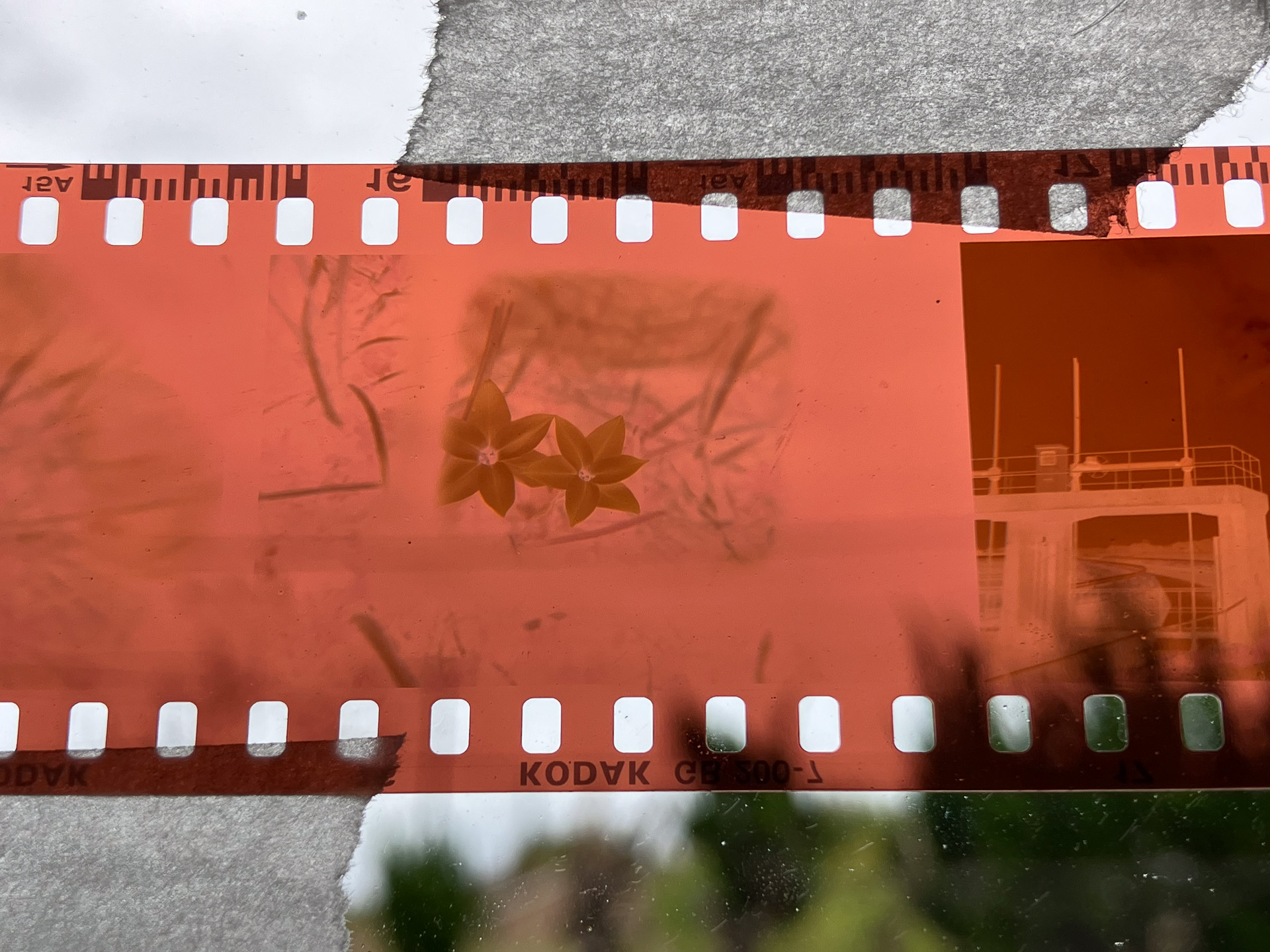 iPhoneで撮った元画像