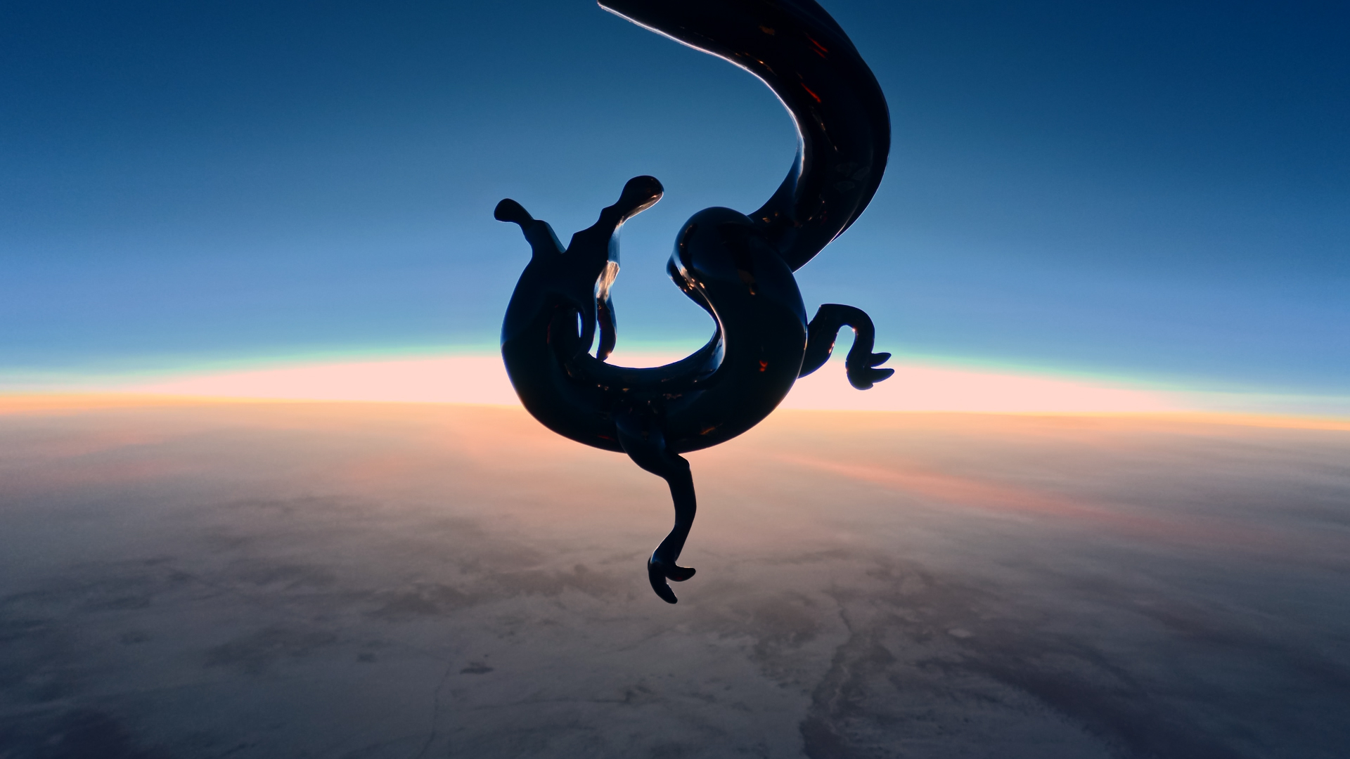 撮影された画像