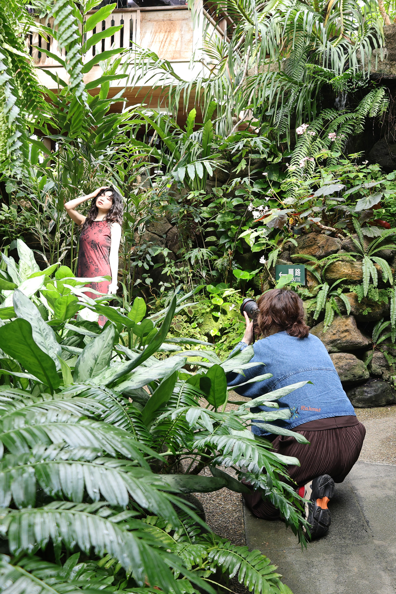 フレーム内が緑で埋まるアングルを探した。画面の左右のバランスを均等に整えるのがポイントだ