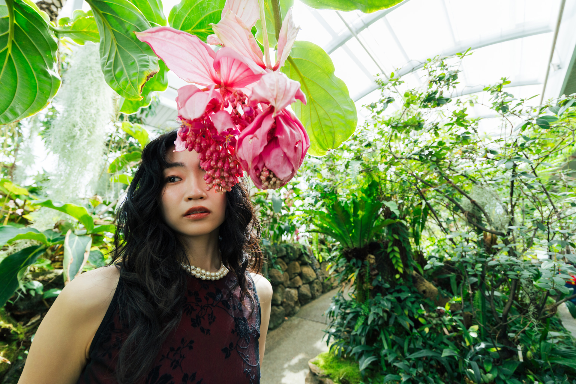 広角レンズのパースによるデフォルメ効果を狙った。個性的な花を手前に大胆に配置。広角では、背景もしっかり入るため、天井の構造や先に続く緑のラインも取り入れている<br><span class="fnt-85">キヤノン EOS R5 Mark II／RF14-35mm F4 L IS USM／14mm／絞り優先AE（F4、1/200秒、＋0.7EV）／ISO 200／WB：5,200K（B4,G3）</span>