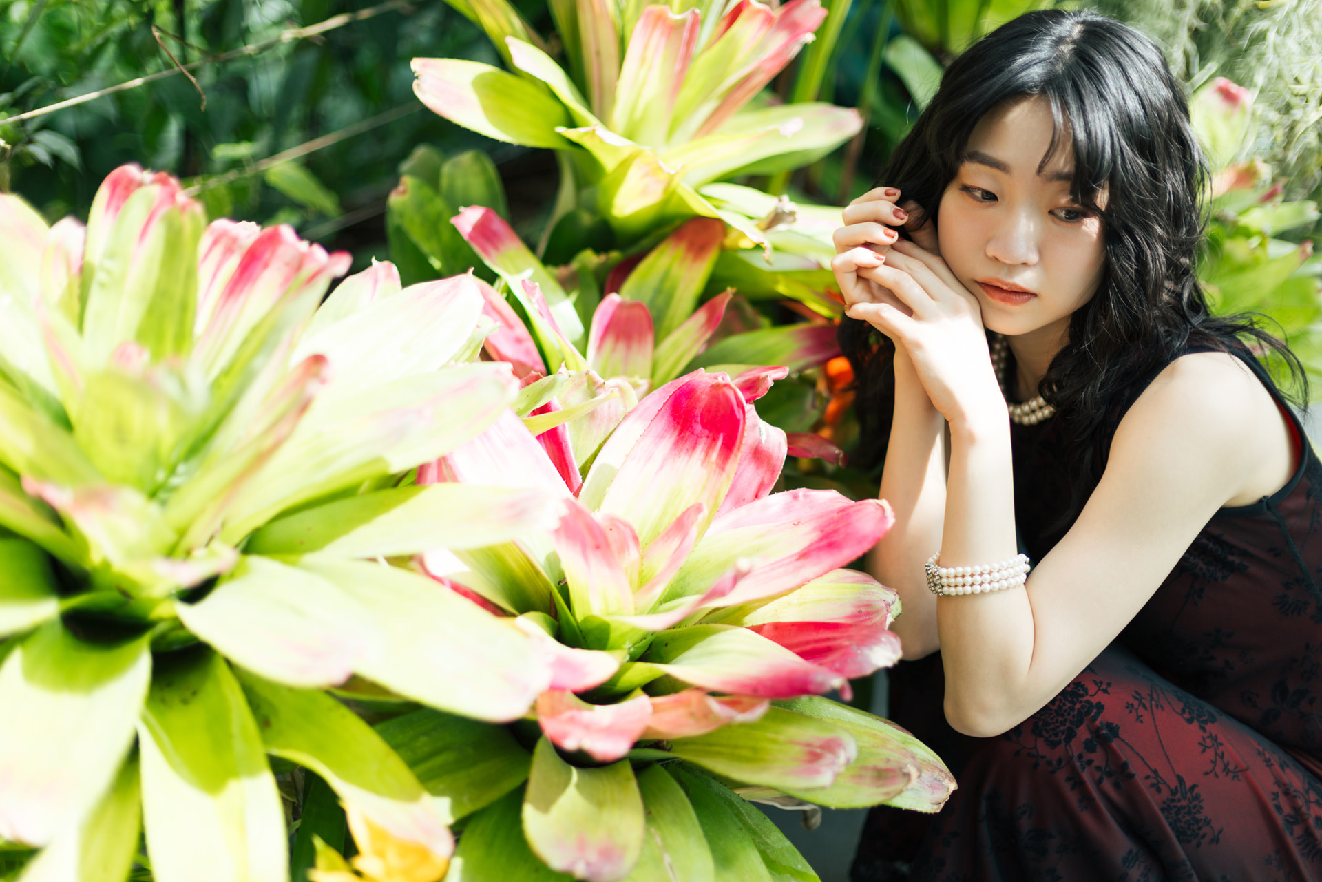 色と形の面白い植物を生かし、1枚の絵のようなイメージで撮影。大きくぼかしているので手前の葉のボケが写真に立体感を与えている<br><span class="fnt-85">キヤノン EOS R5 Mark II／RF45mm F1.2 STM／45mm／絞り優先AE（F1.4、1/2,500秒、±0EV）／ISO 100／WB：5,200K（B5,G5）</span>