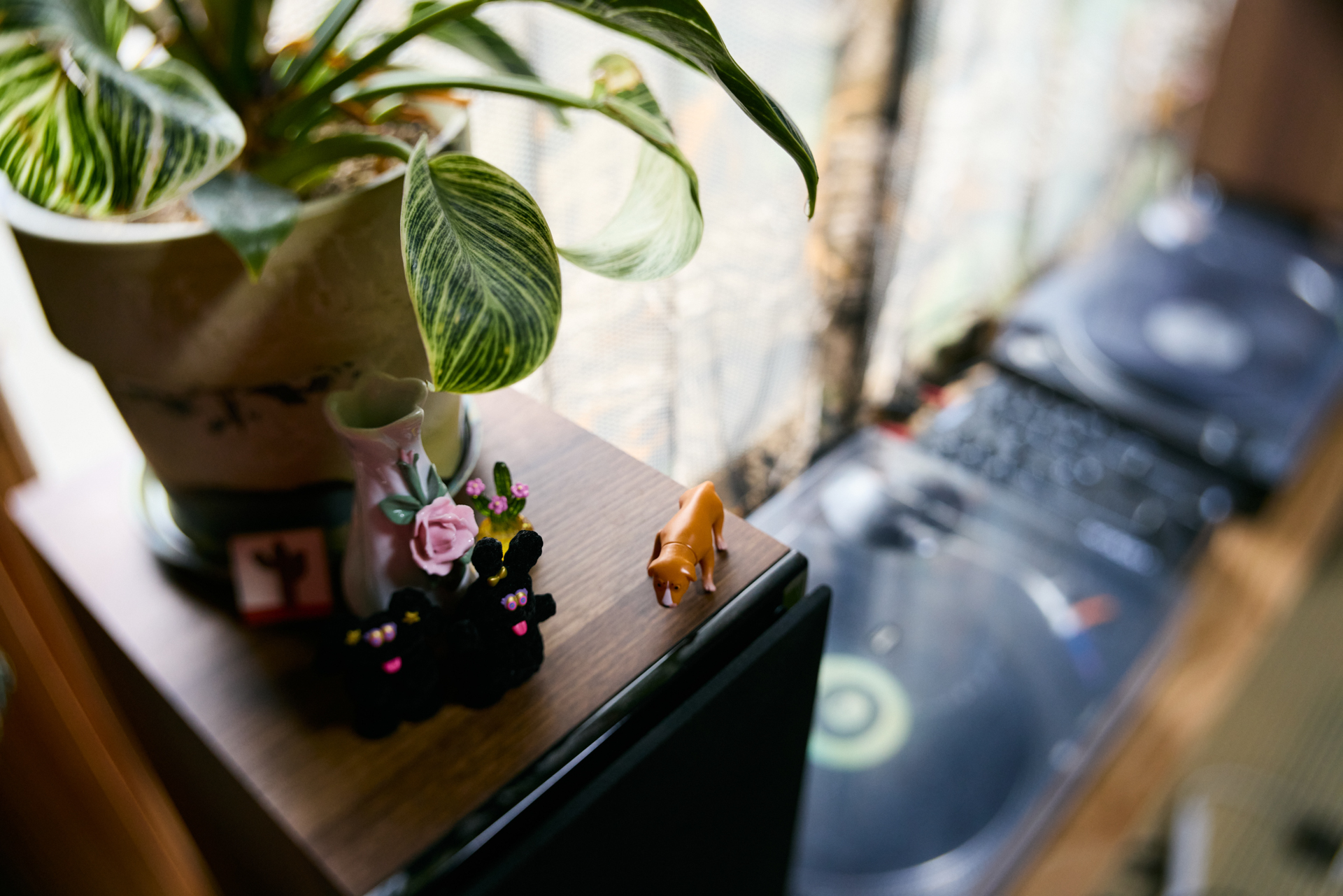 EOS R5／Joseph Petzval 27 f/1.7 Focus-coupled Bokeh Control Art Lens／27mm／絞り優先AE（1/125秒、F5.6、±0）／ISO 800