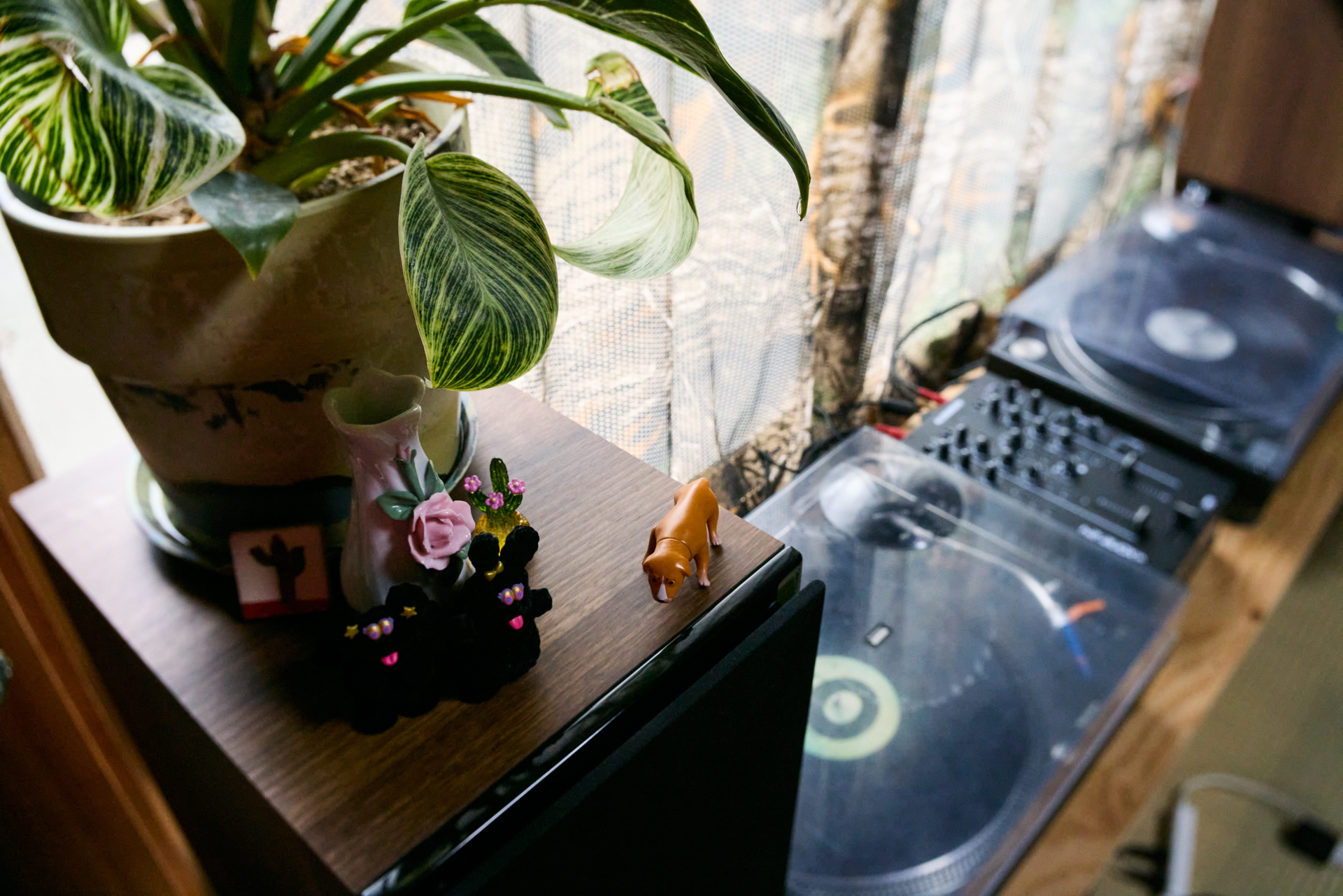 EOS R5／Joseph Petzval 27 f/1.7 Focus-coupled Bokeh Control Art Lens／27mm／絞り優先AE（1/125秒、F11、±0）／ISO 5000